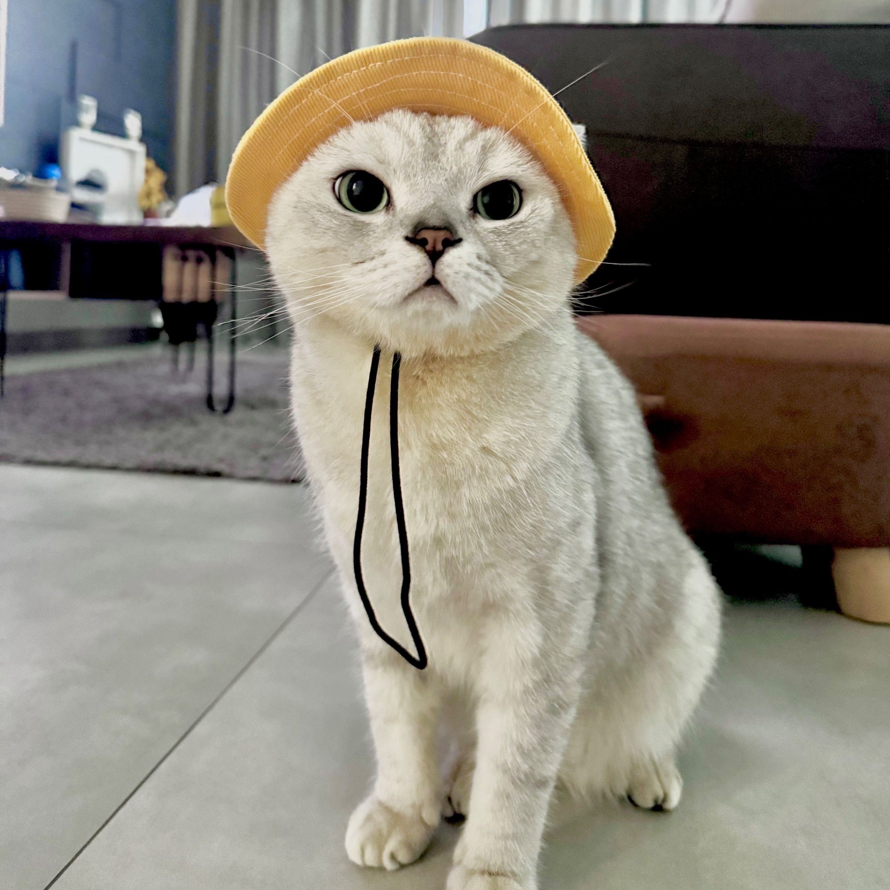 Gintsuki