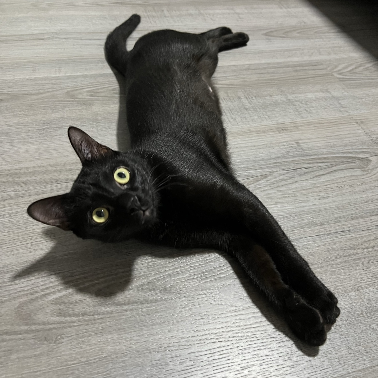 Peanut