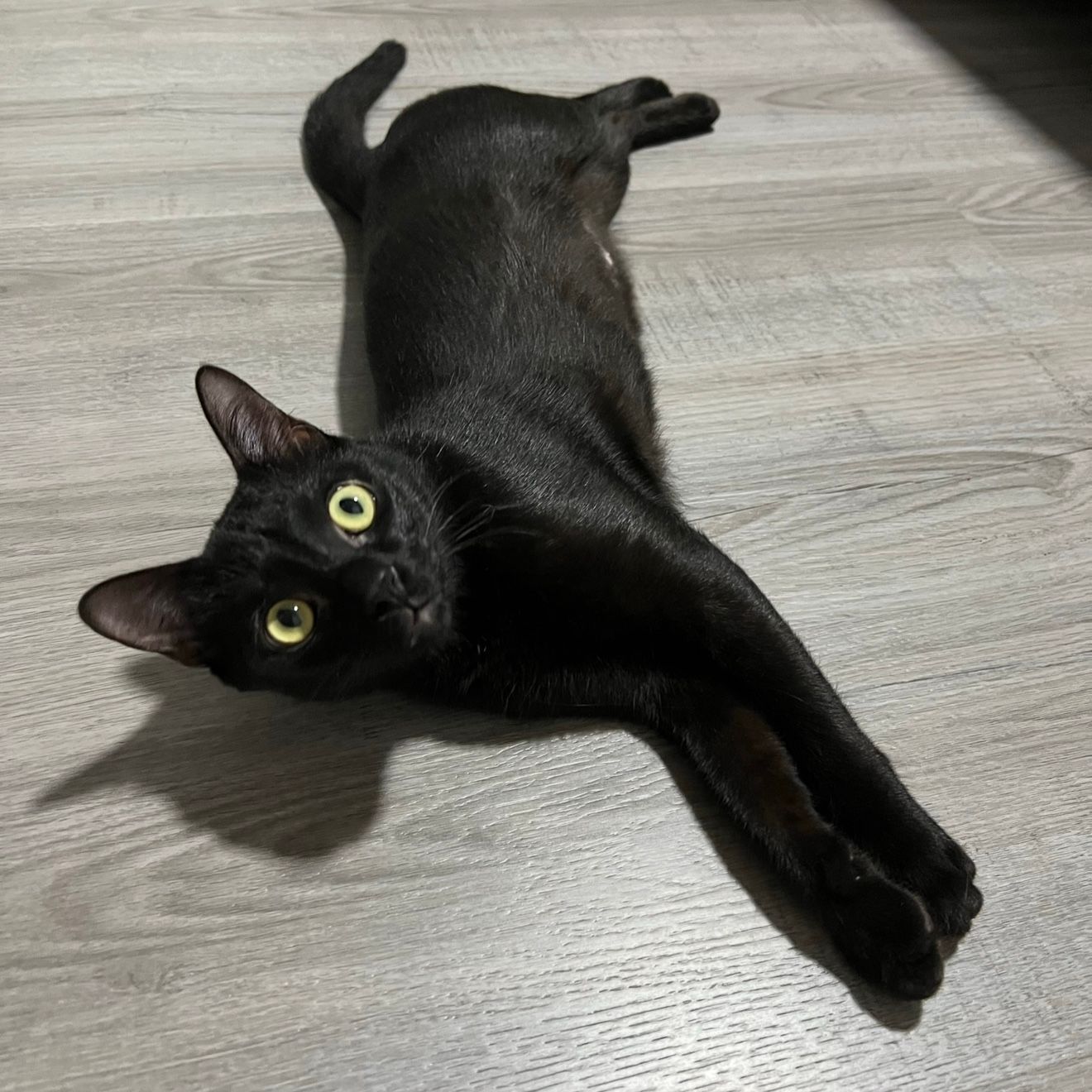Peanut