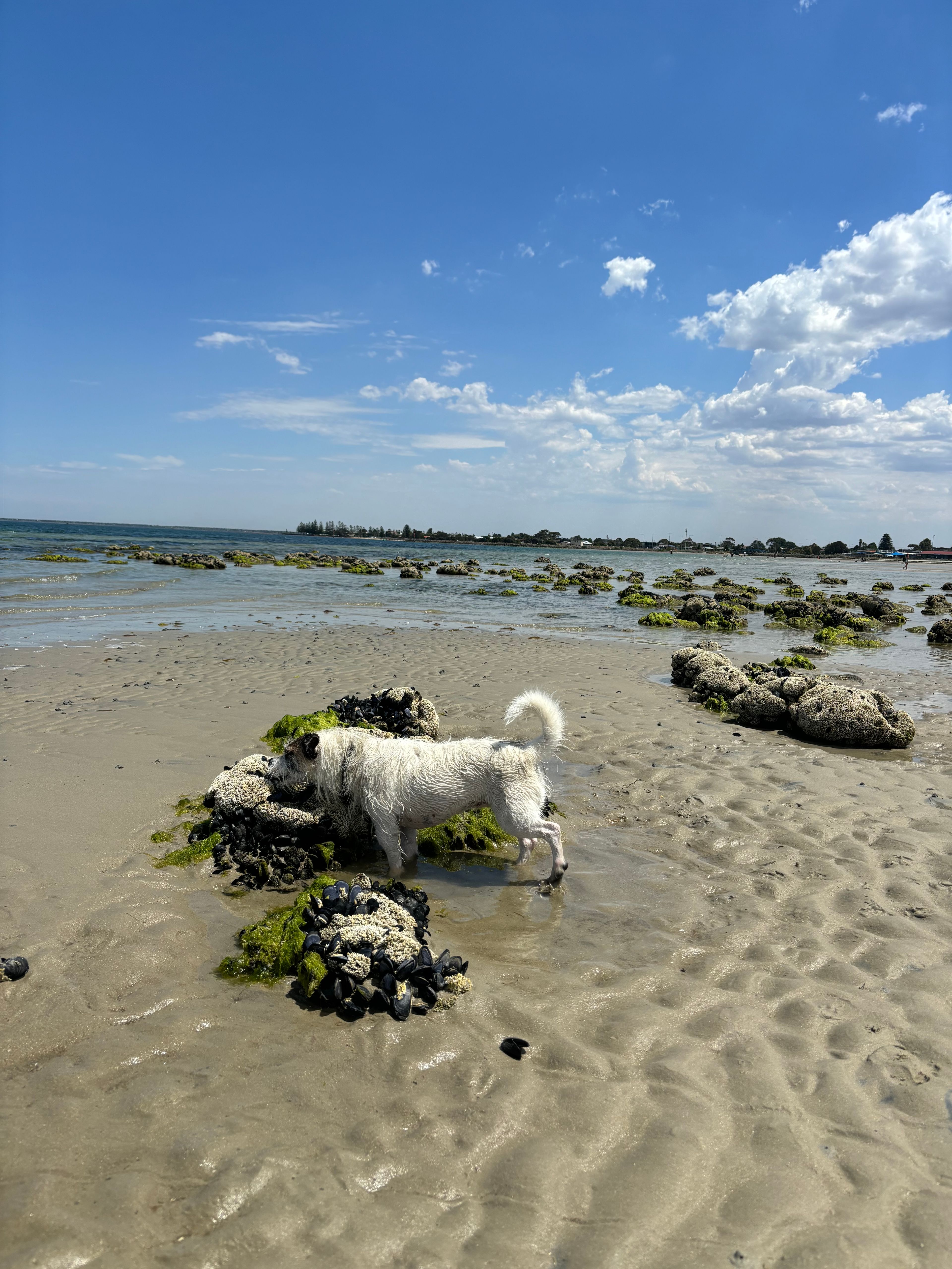 image-13