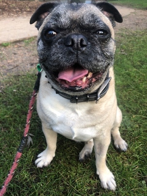 image-20