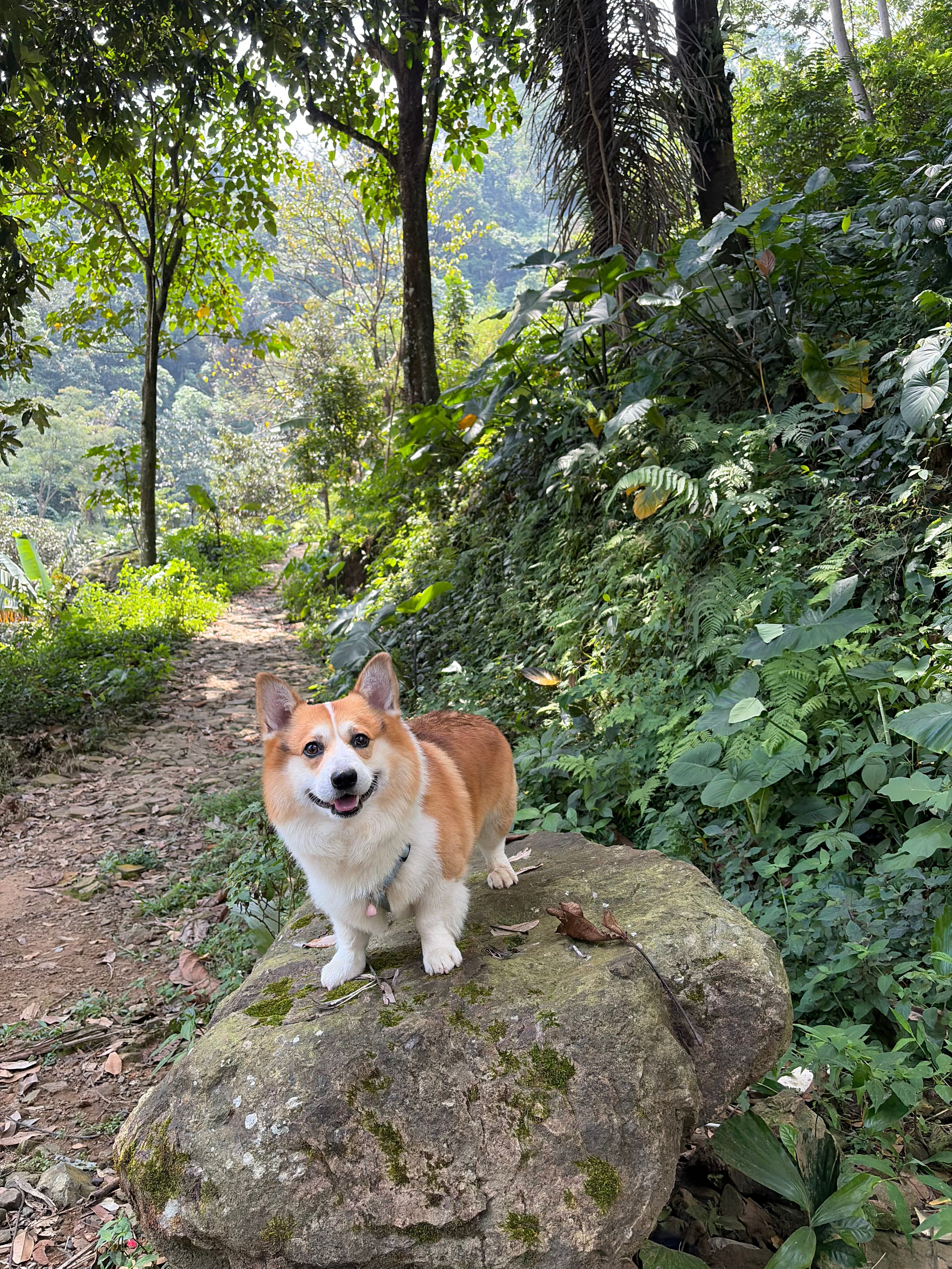image-7