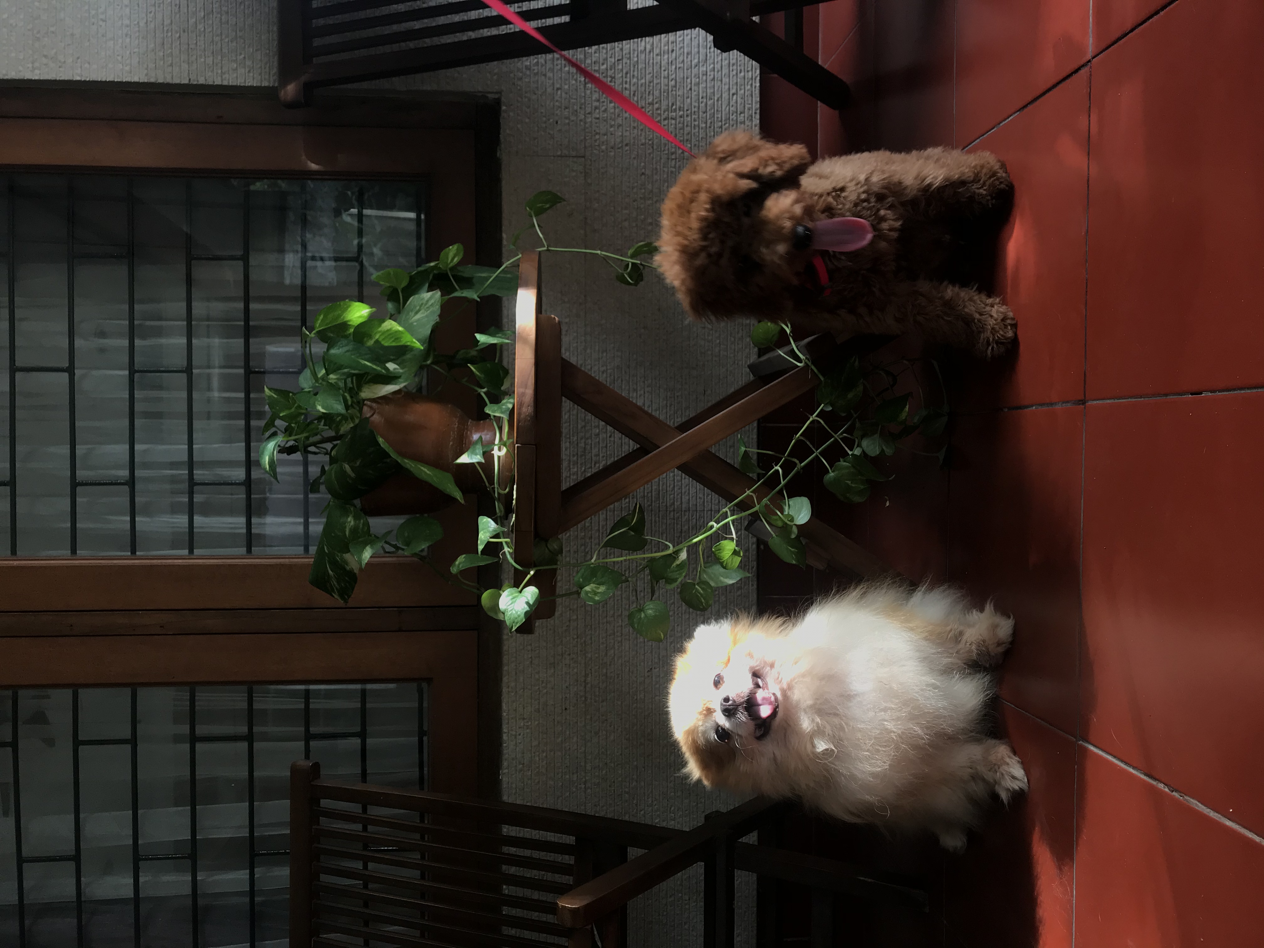 image-8