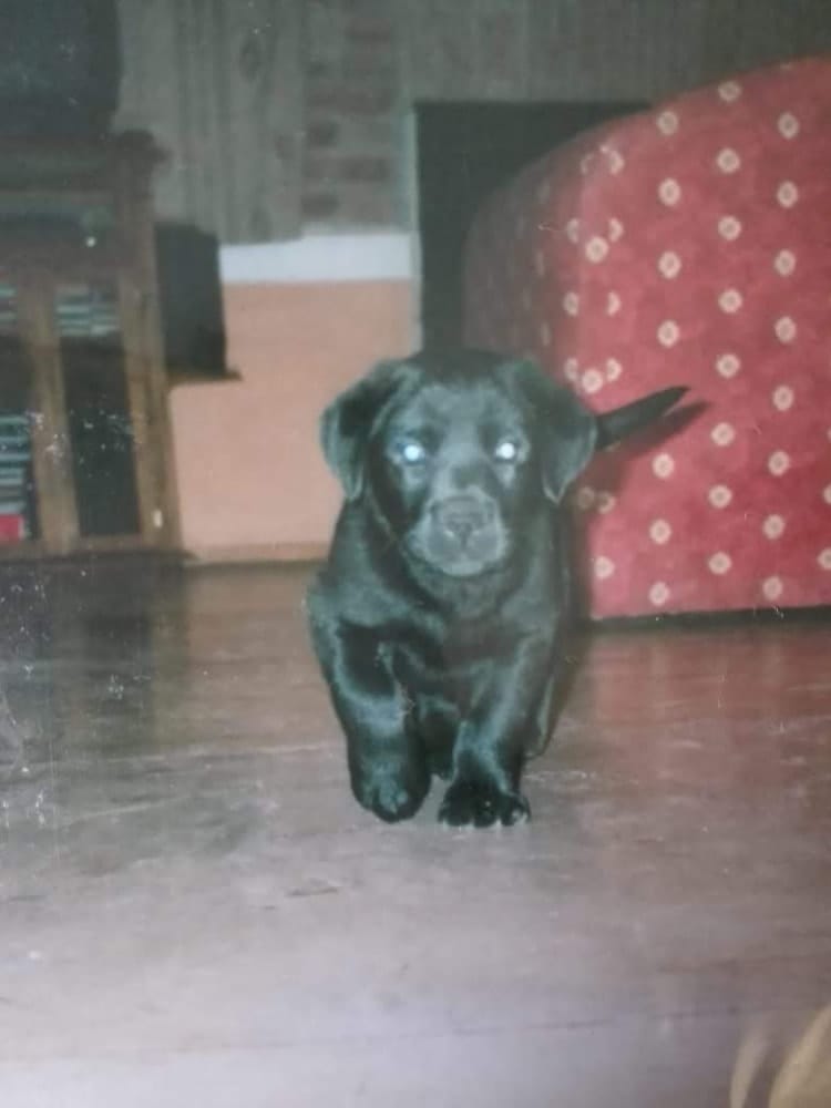 image-5