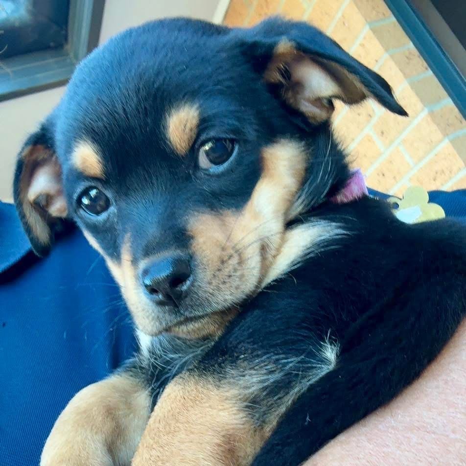 Mia 