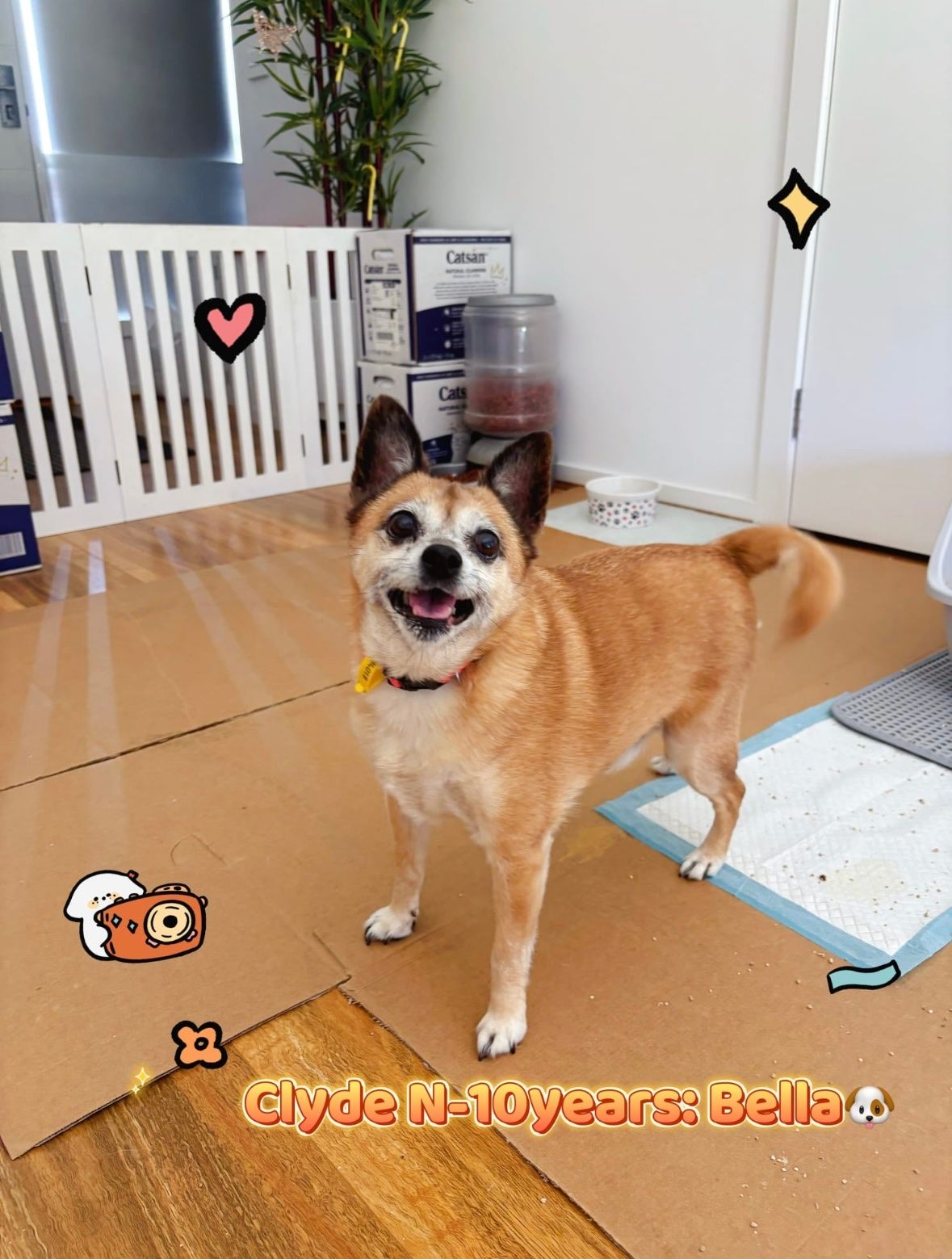 image-13