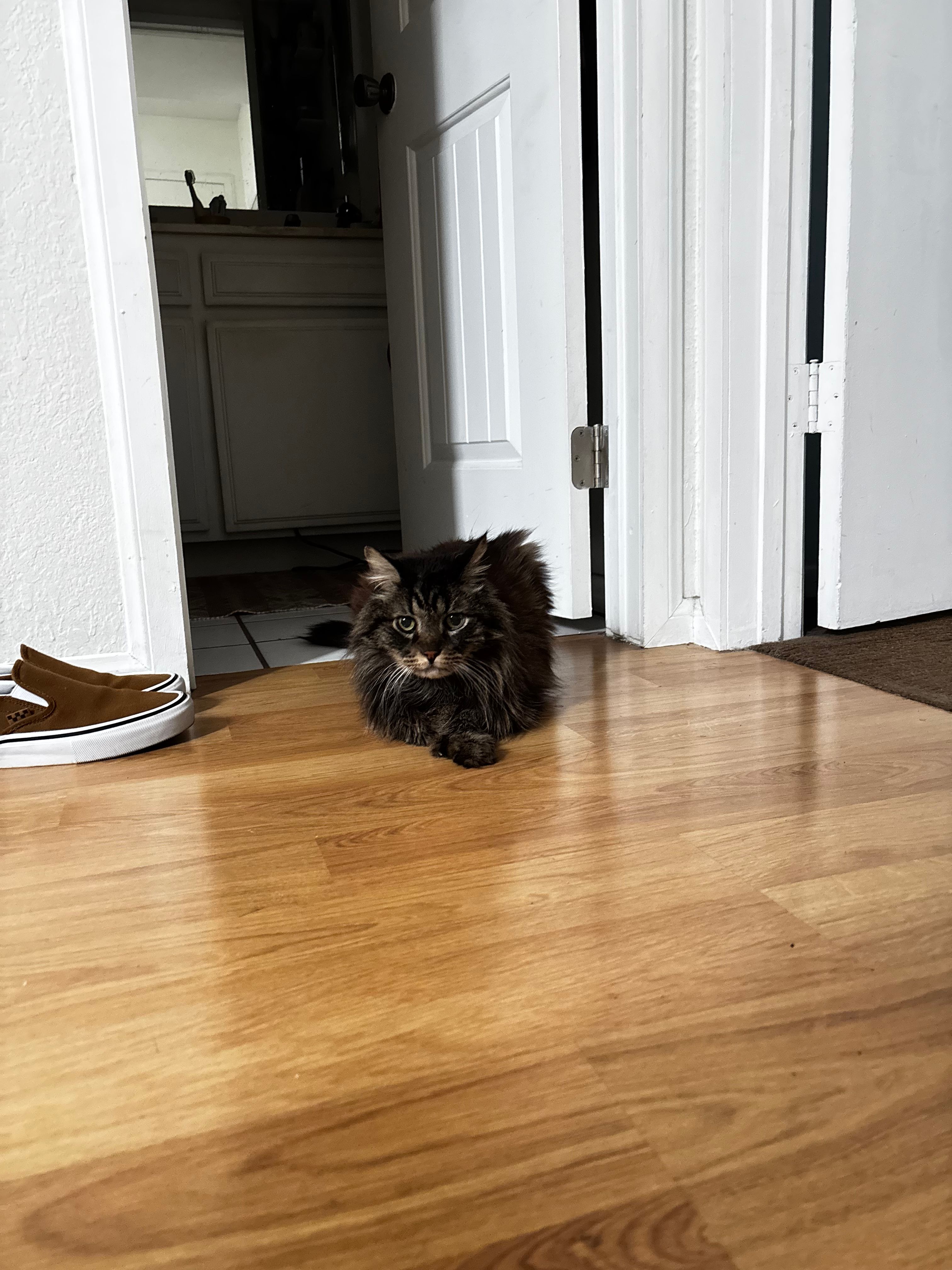 image-7