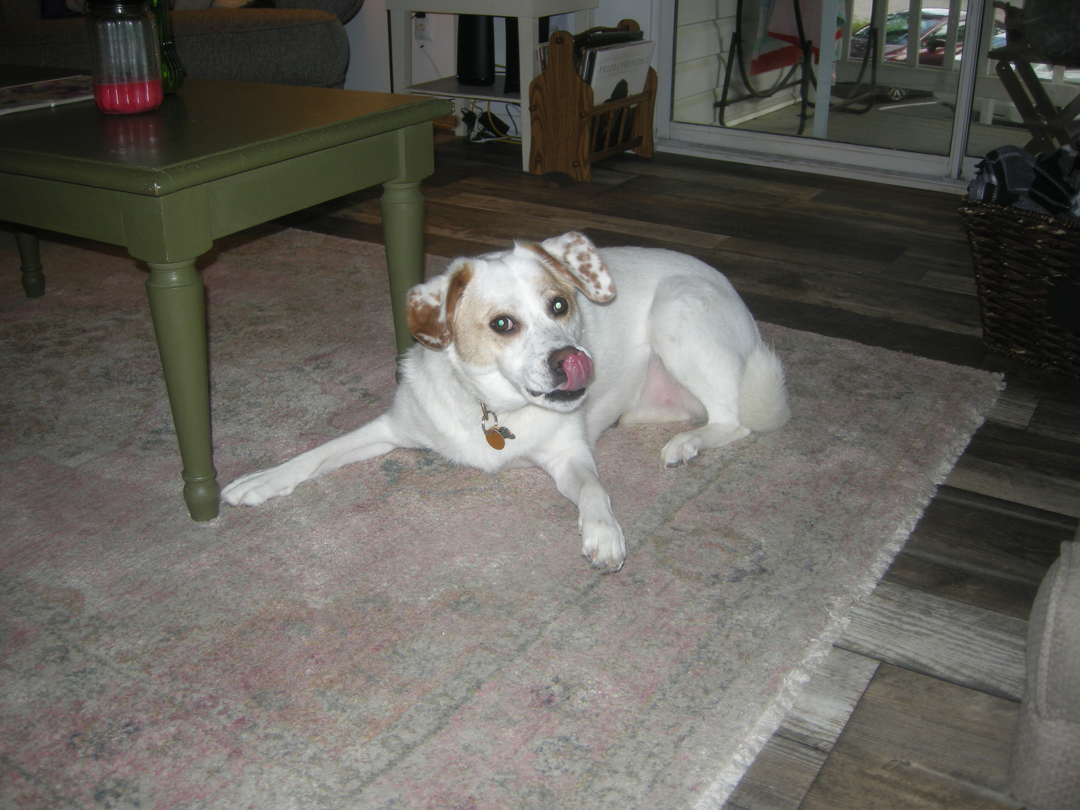 image-9