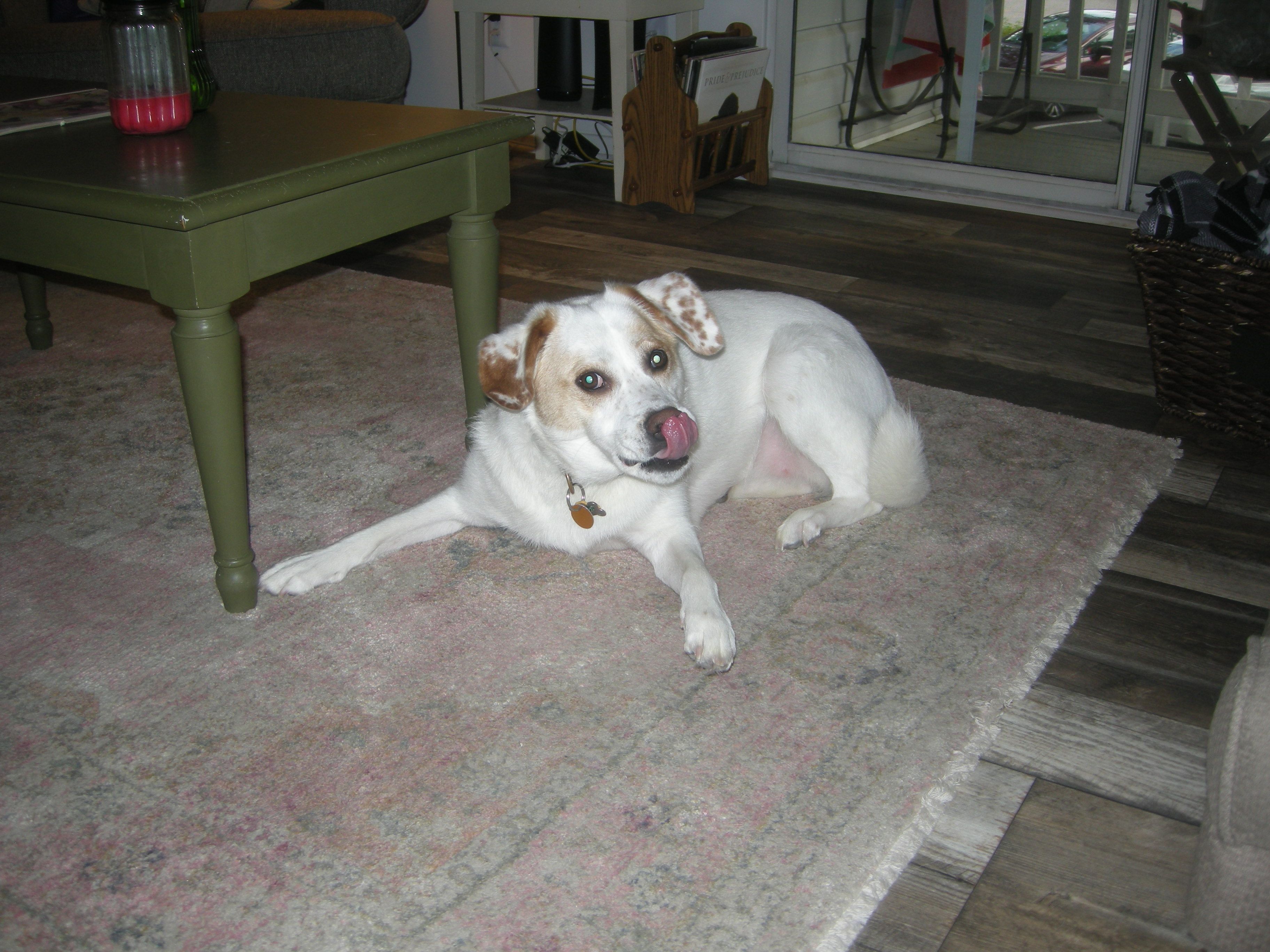 image-9