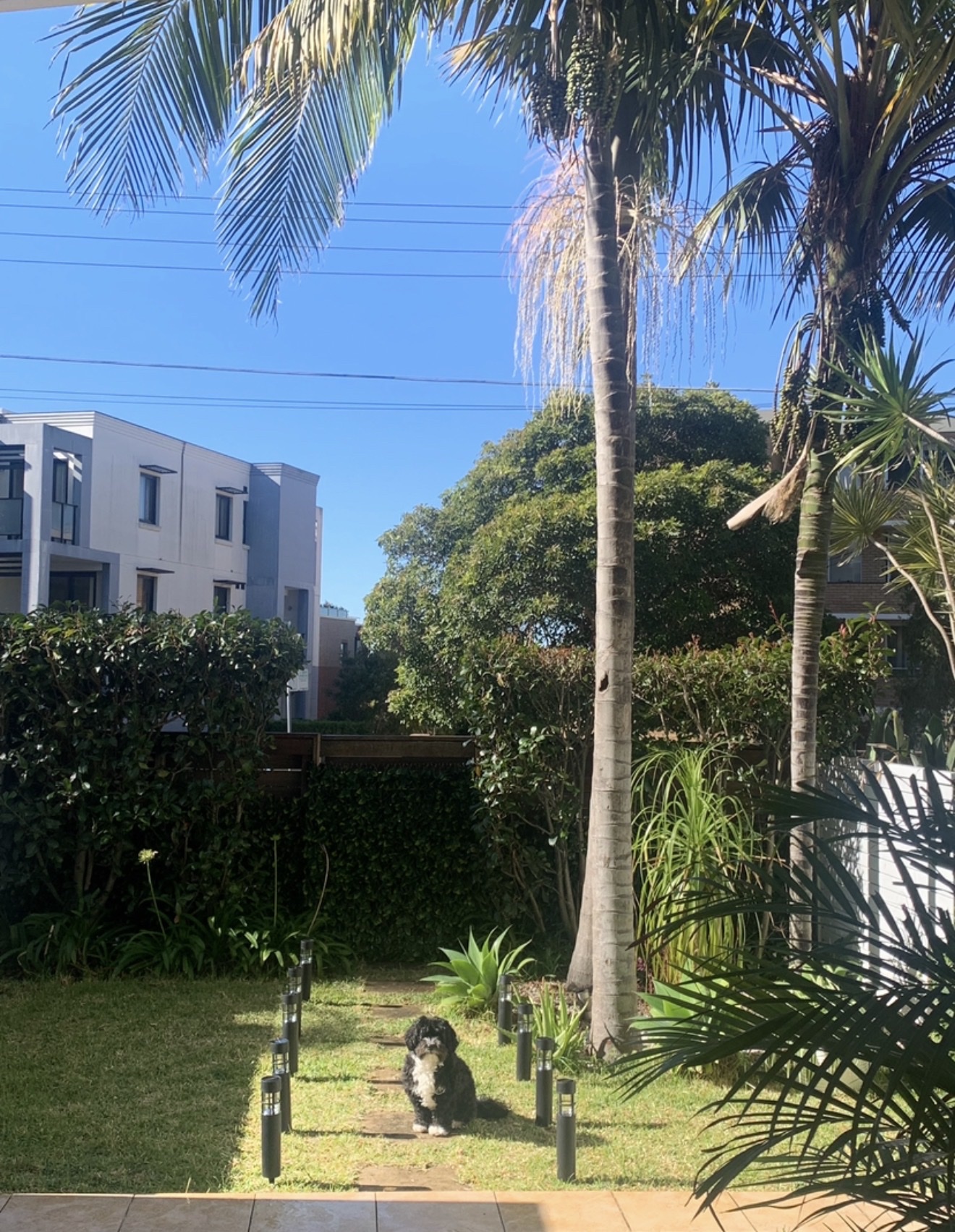 image-16