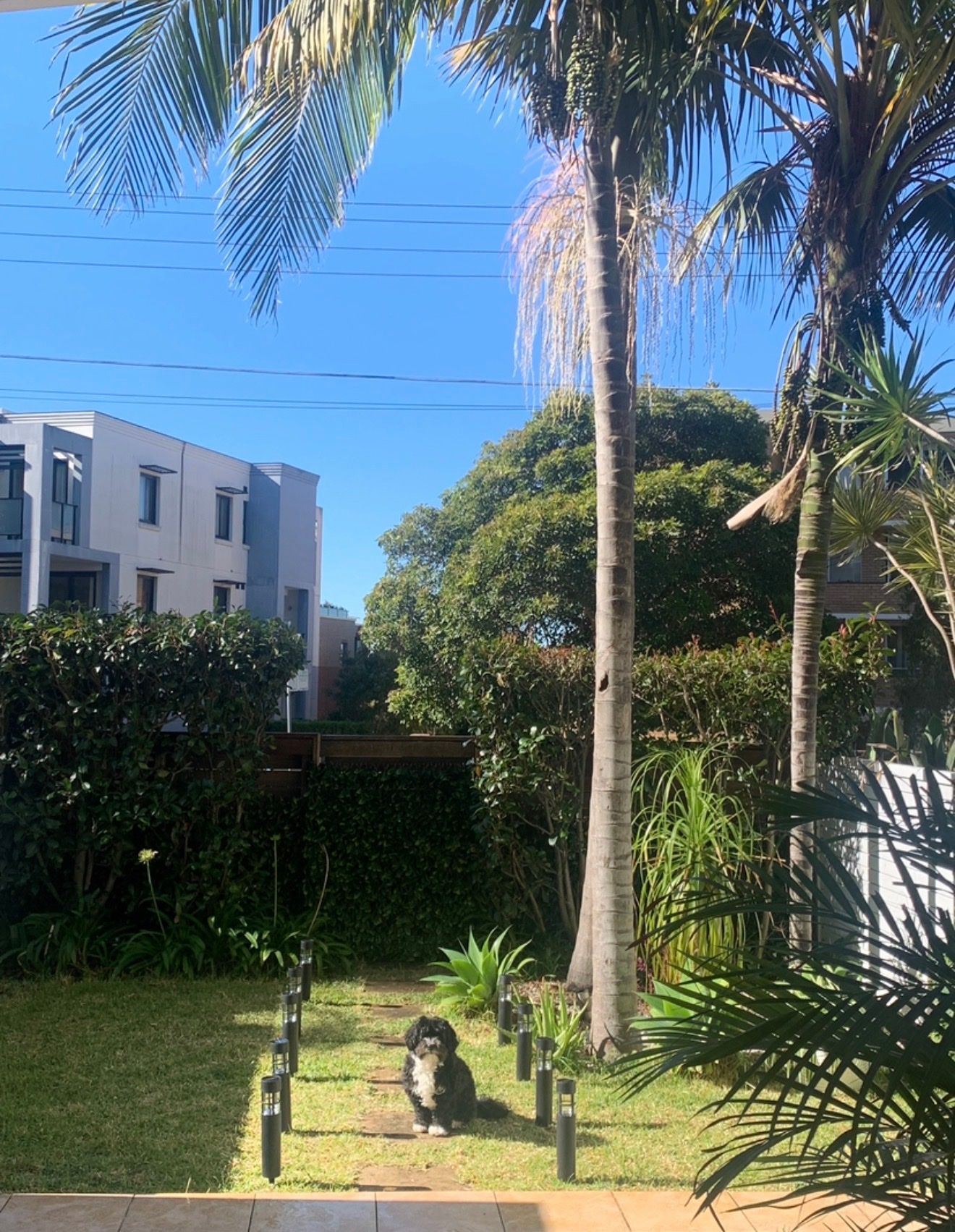 image-16