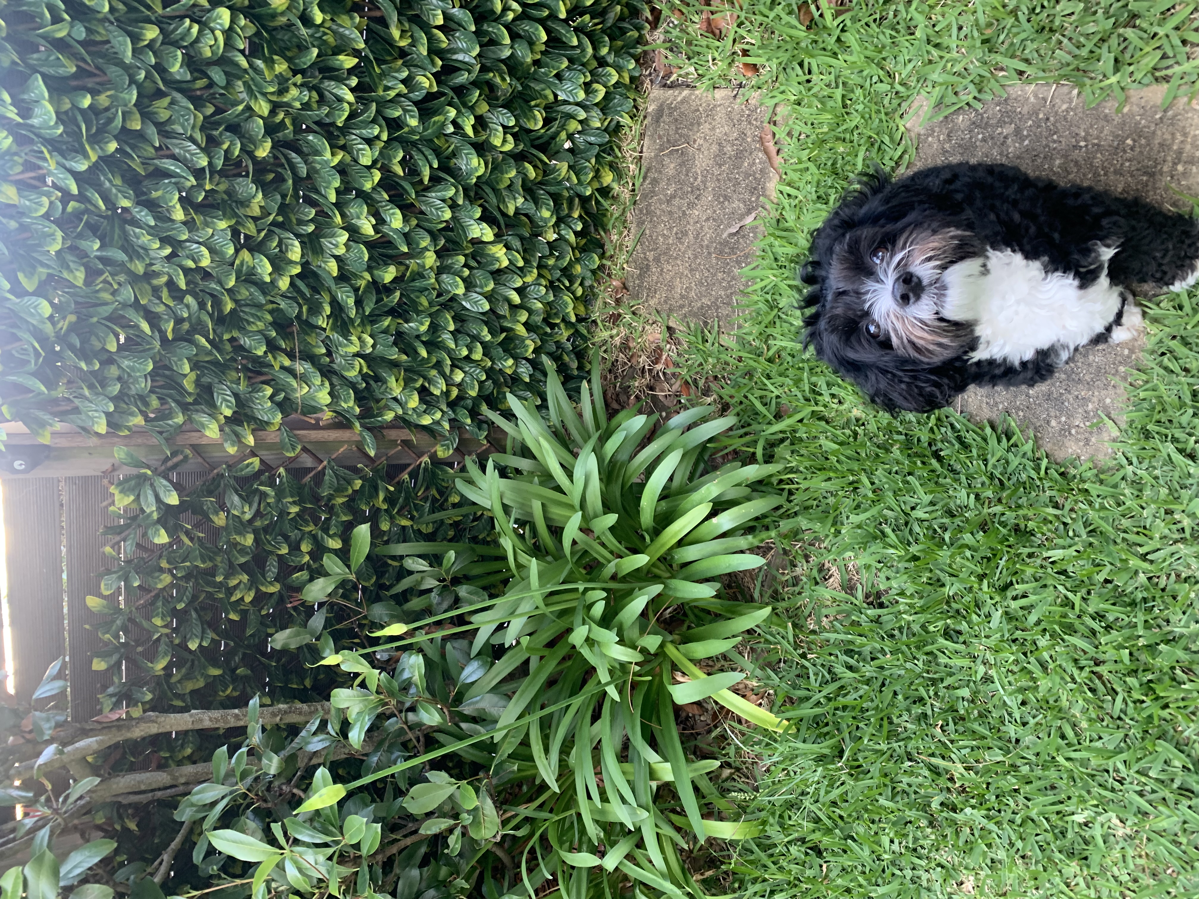 image-17