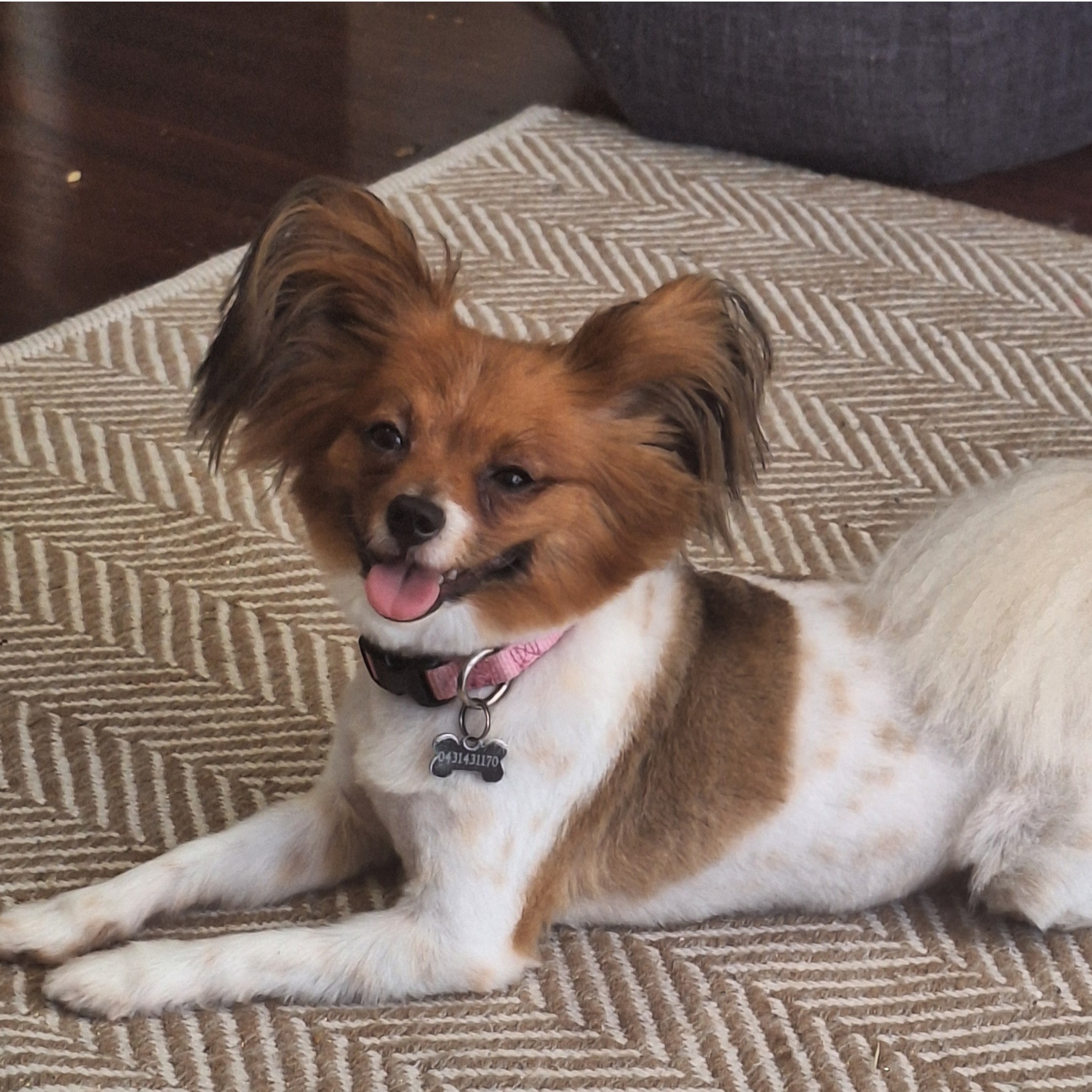 Roxy