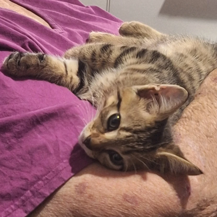 Mika