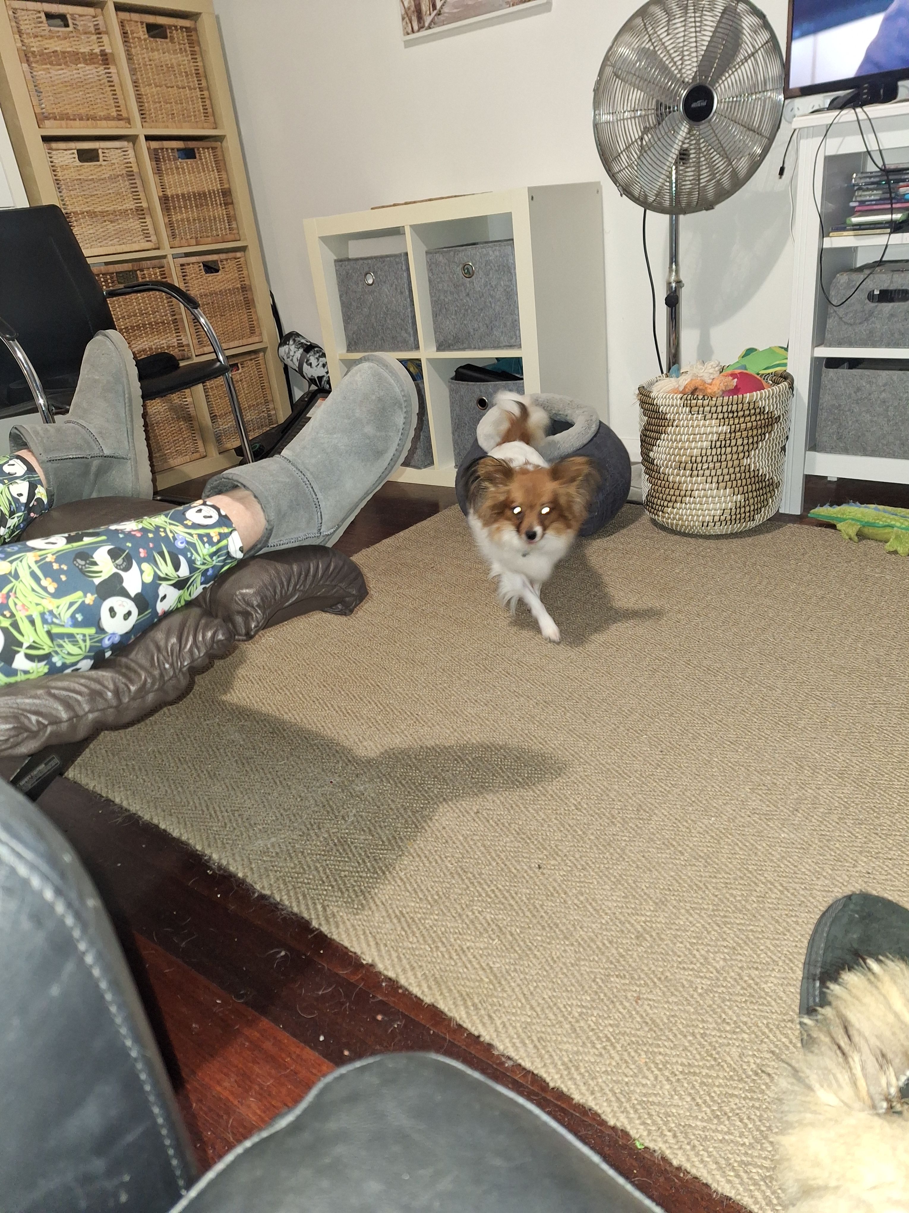 image-38