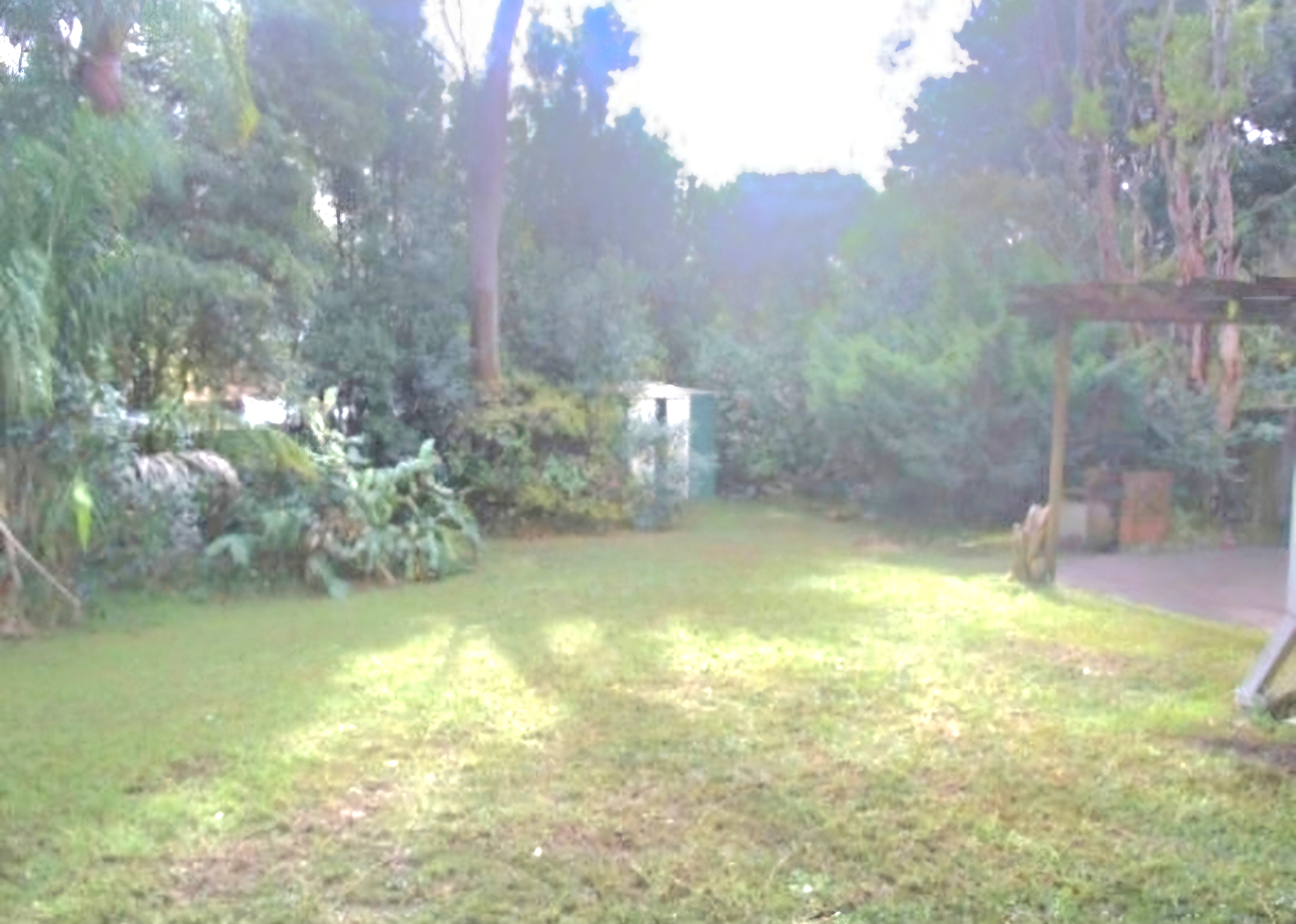 image-45