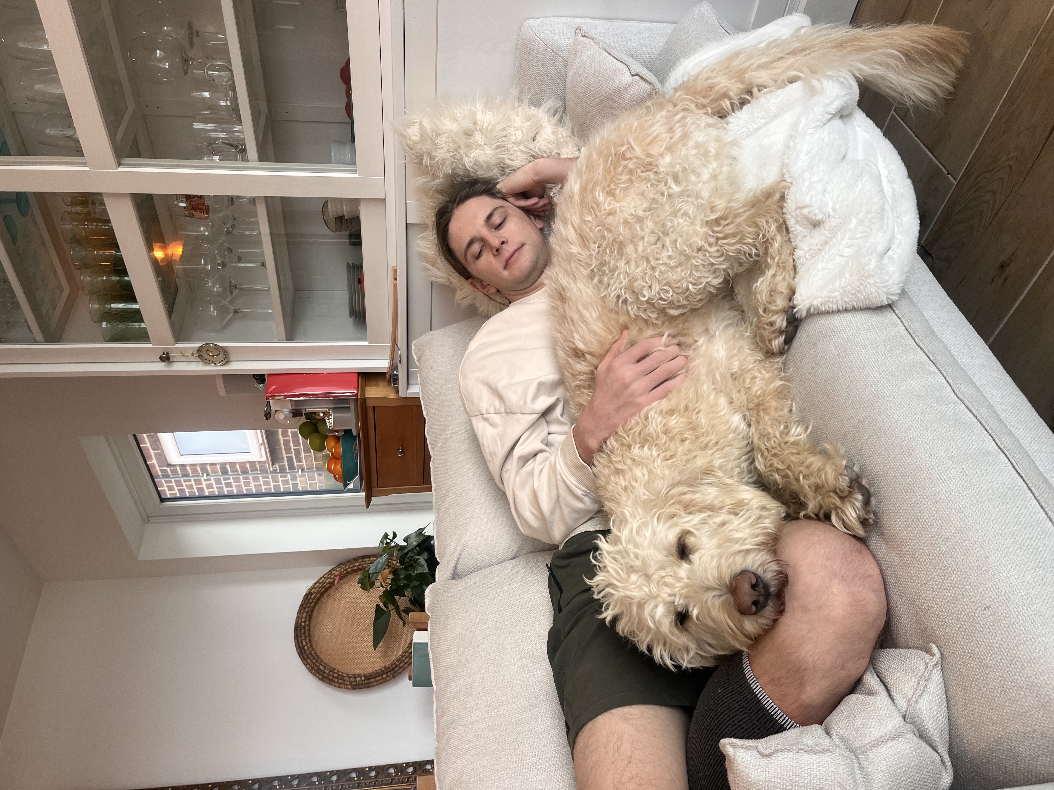 image-6
