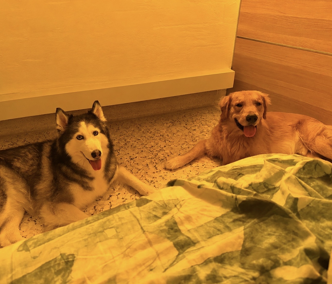 image-20