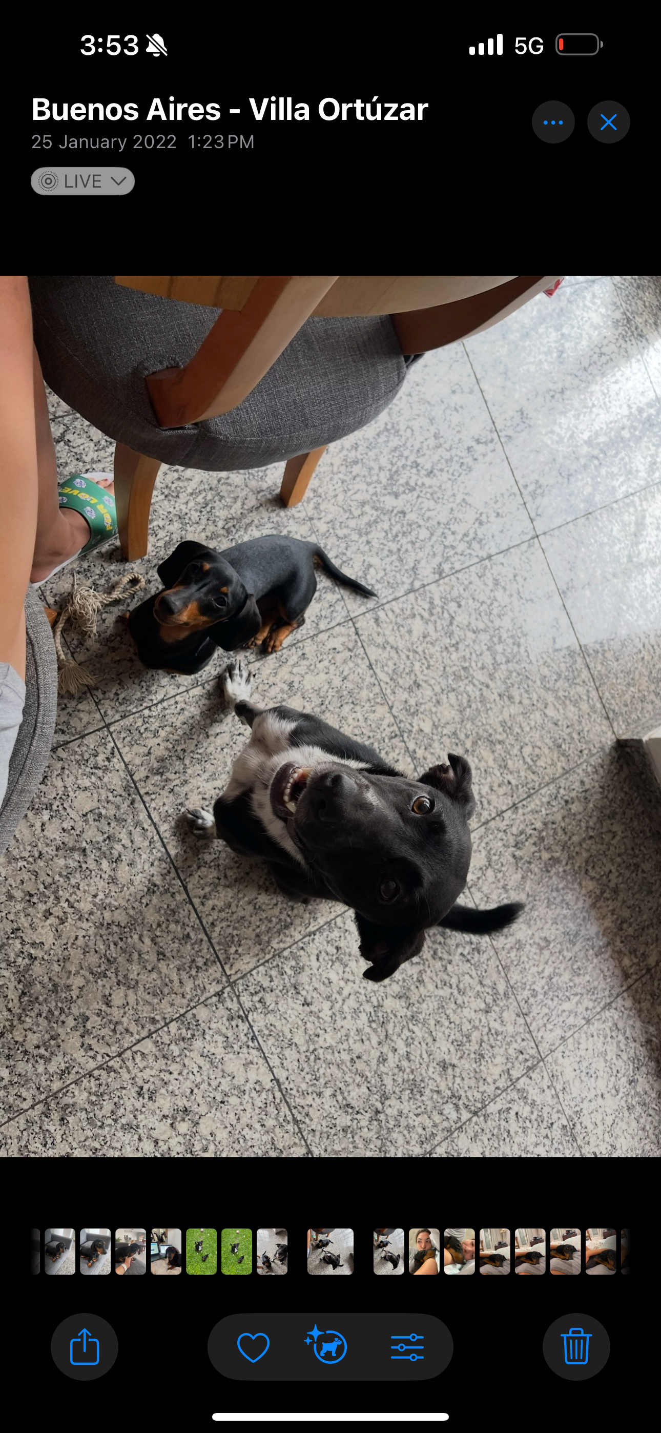 image-6