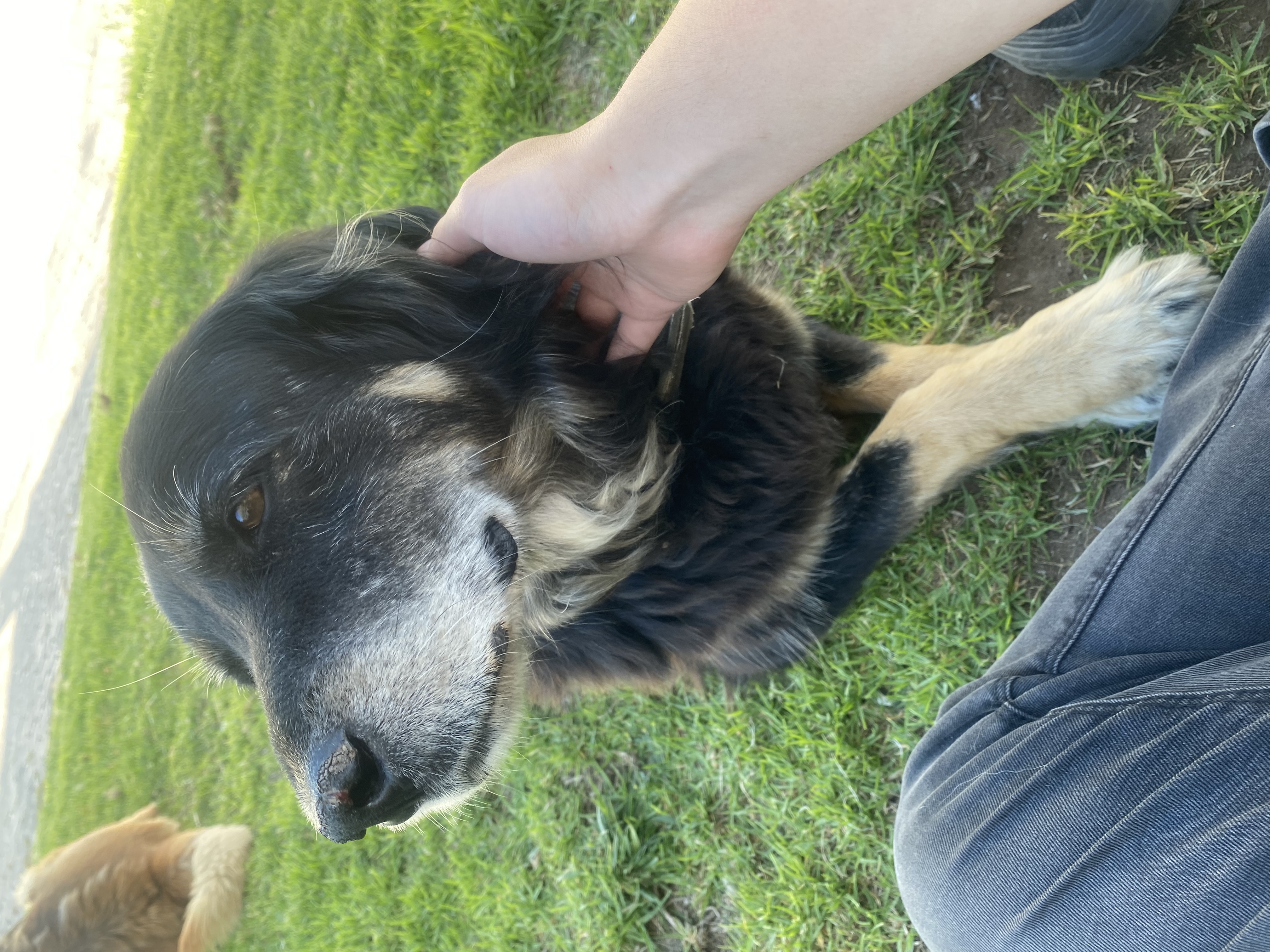 image-7
