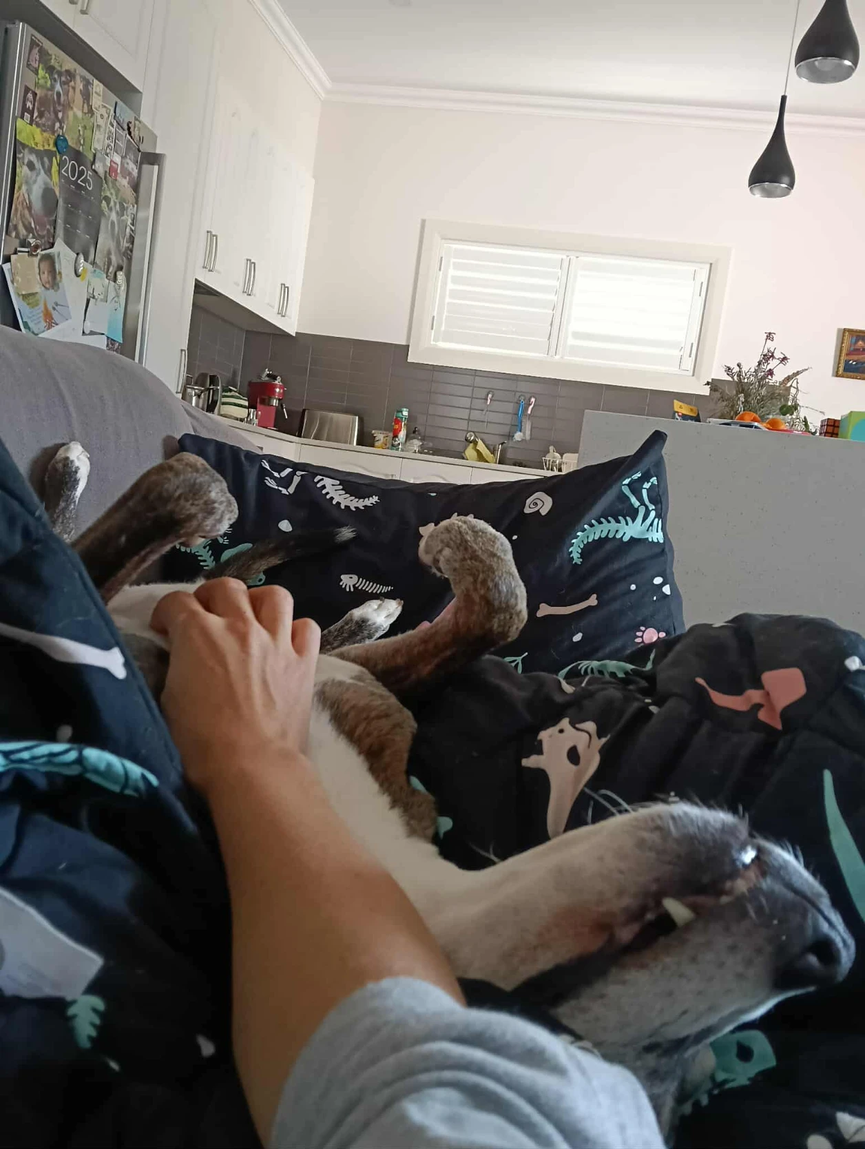 image-8