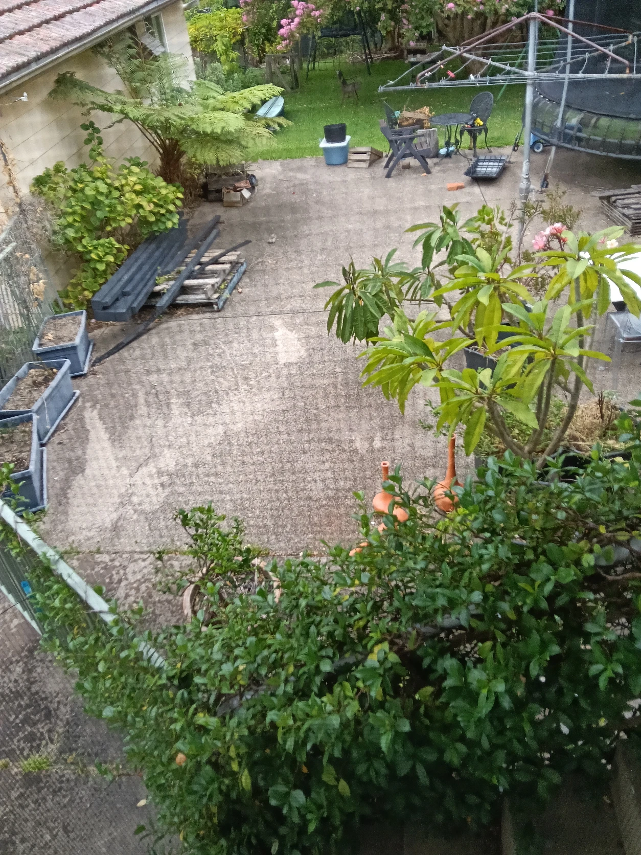 image-20