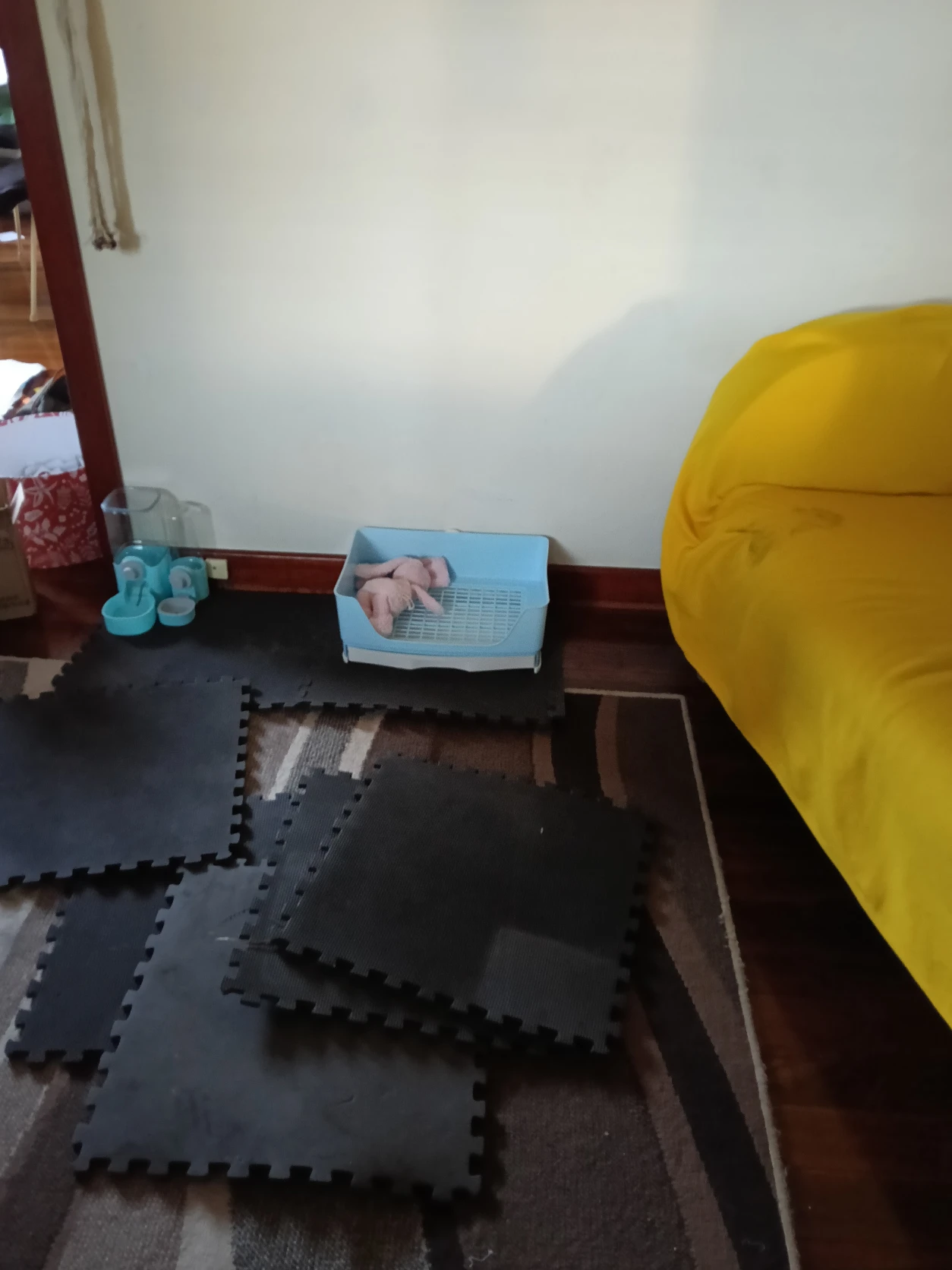 image-14