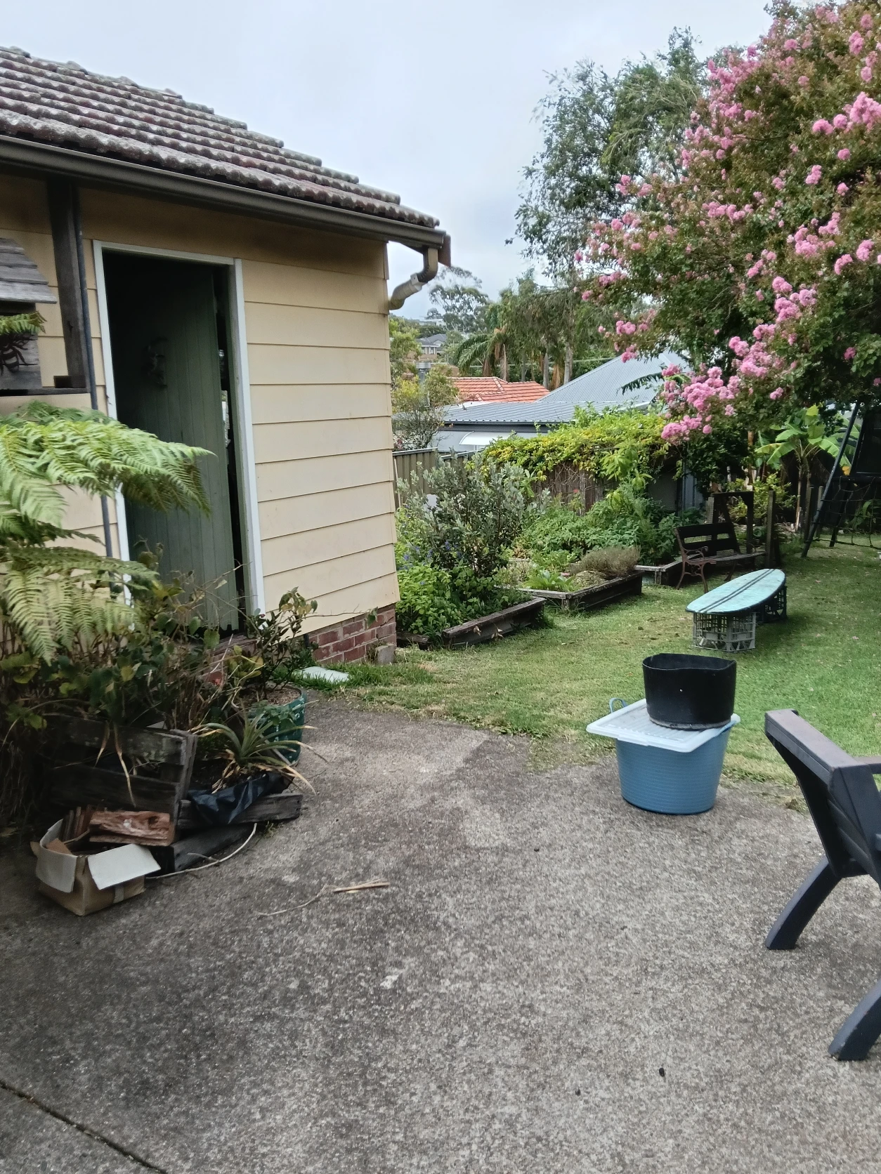 image-15