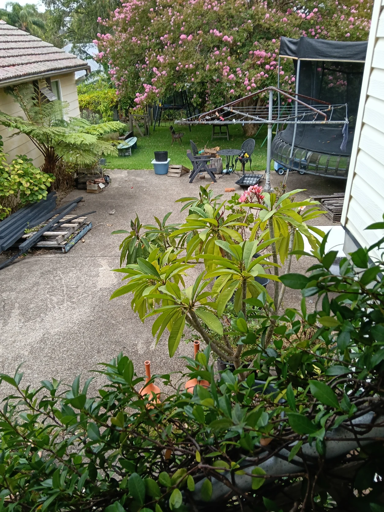image-21