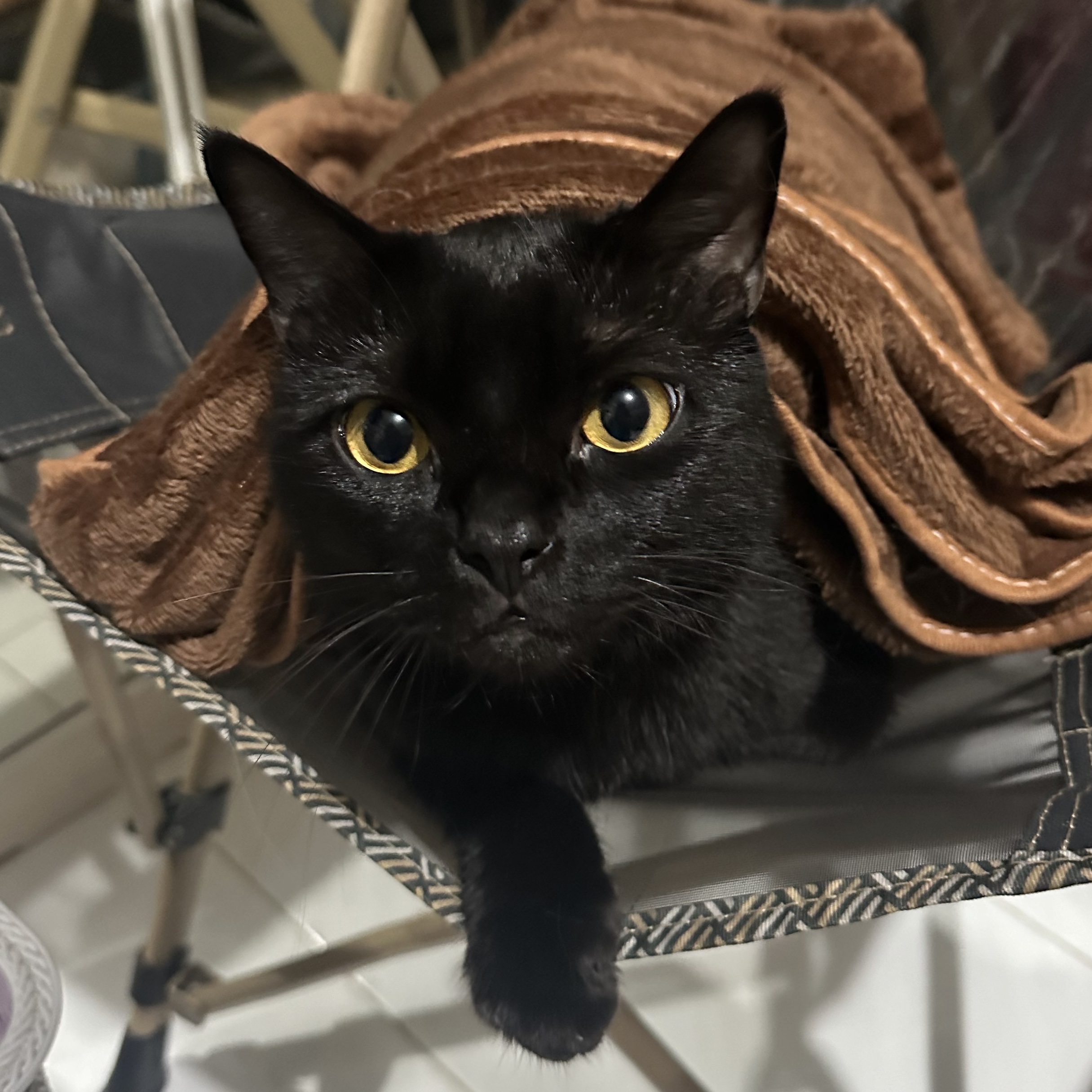 Binx