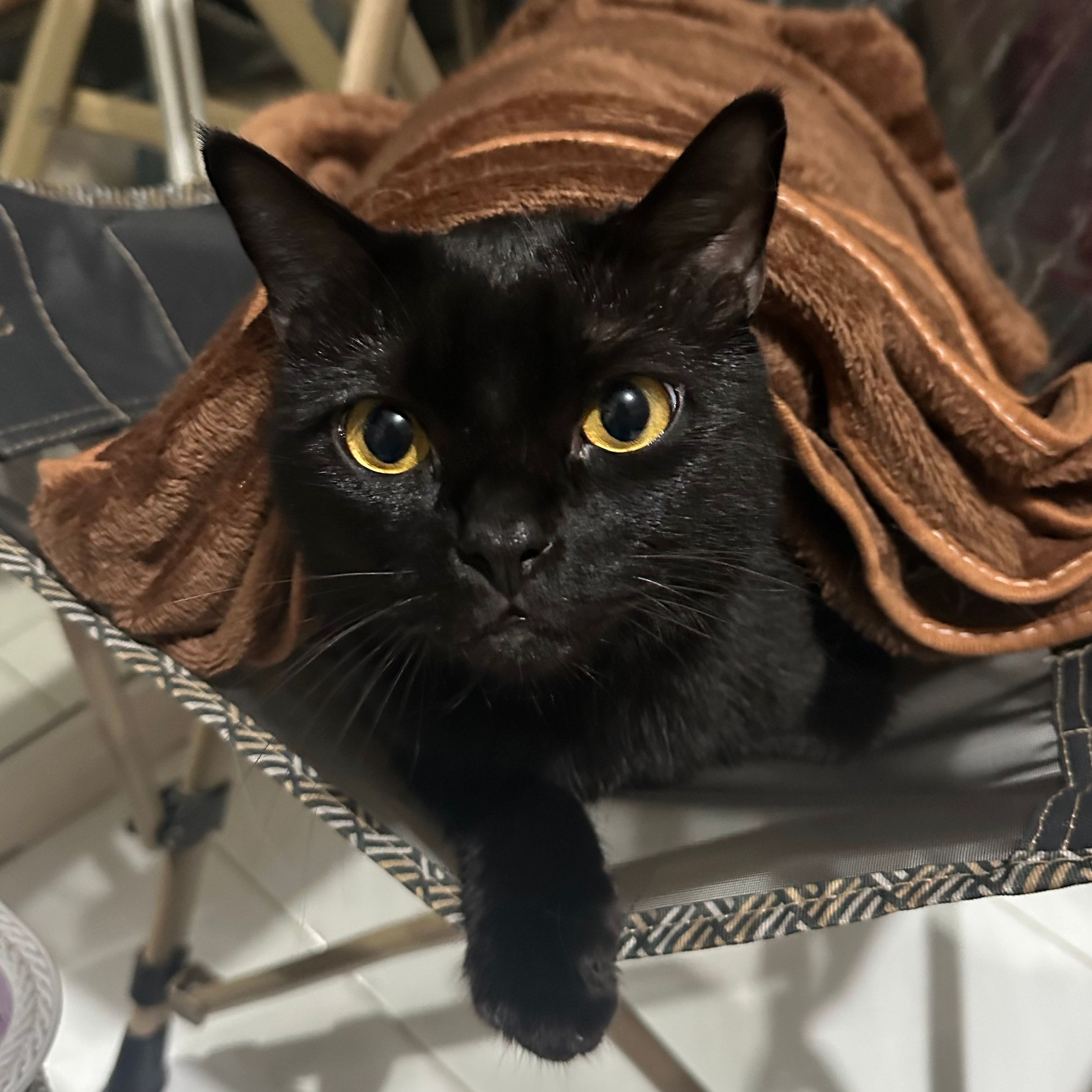 Binx