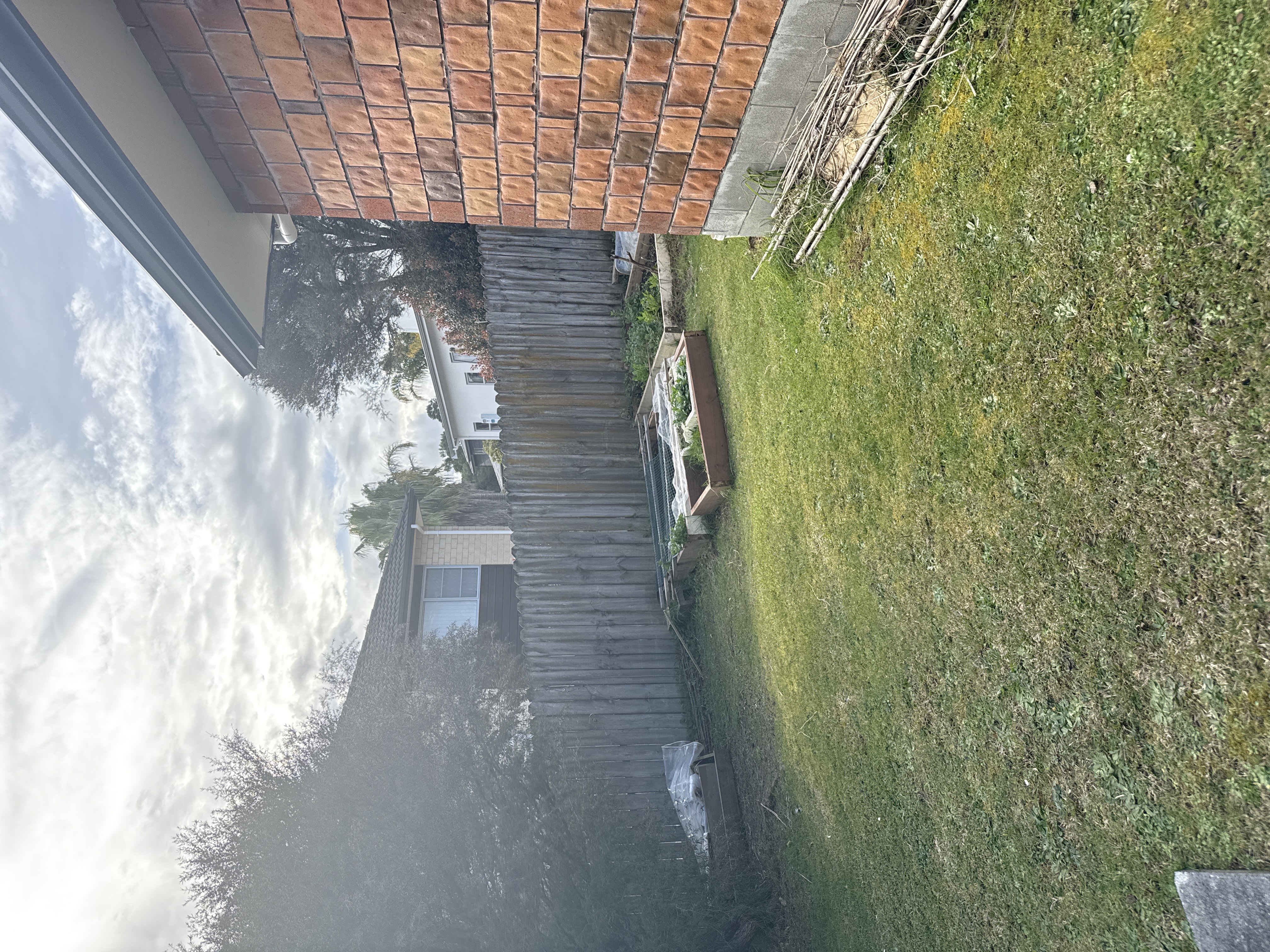 image-20