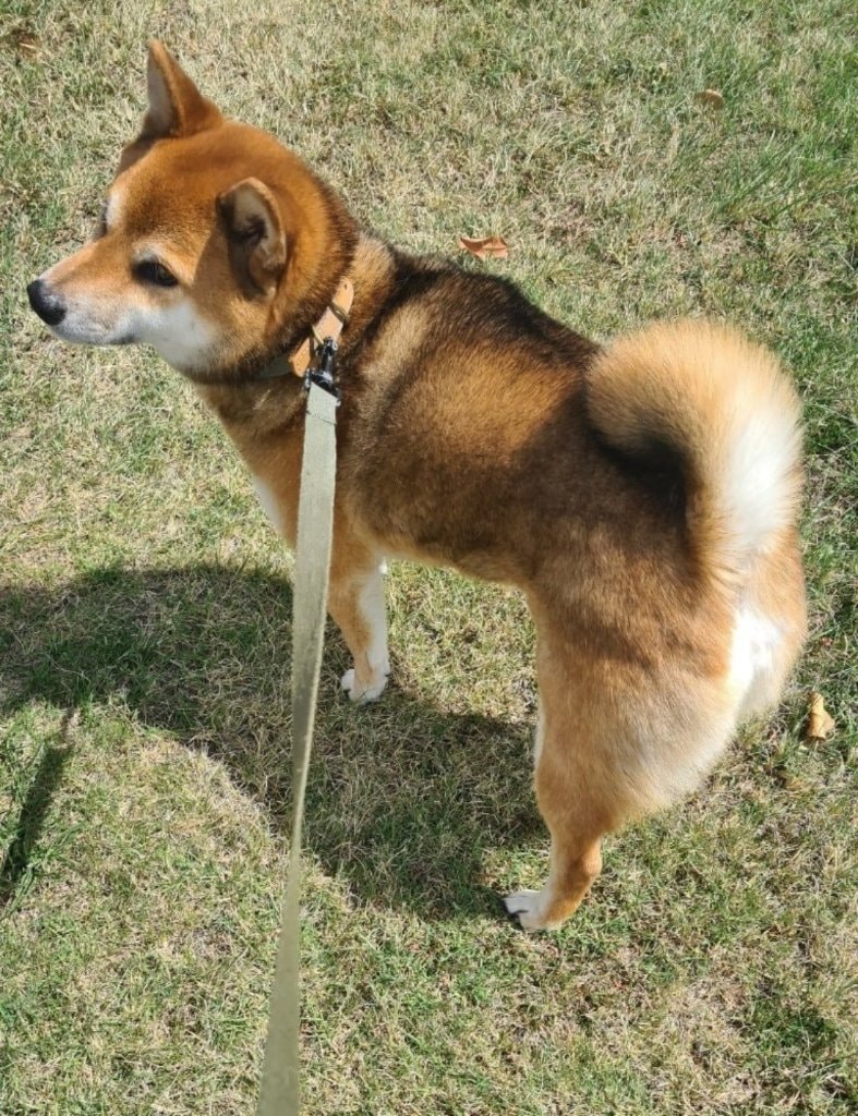 image-42