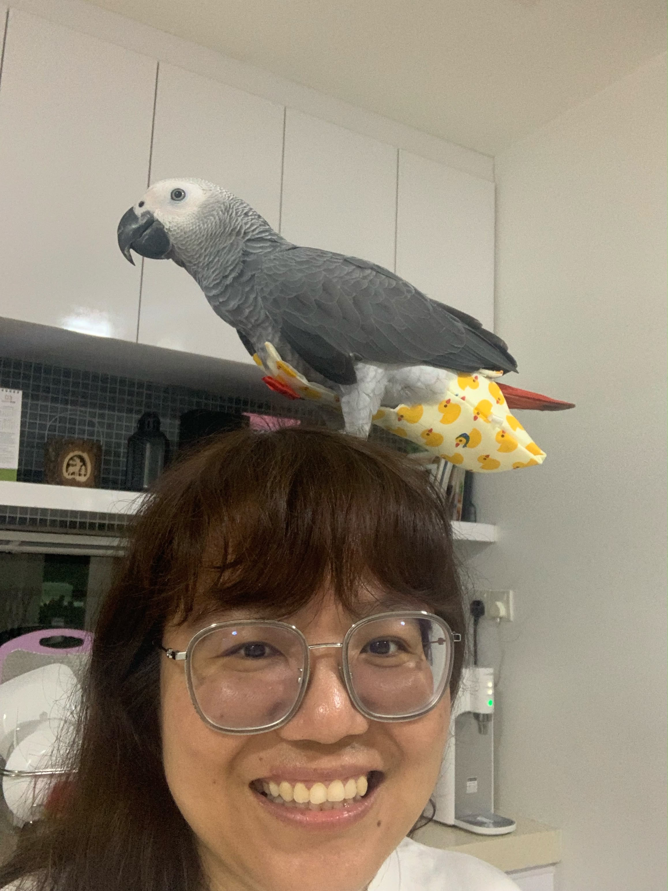 image-6
