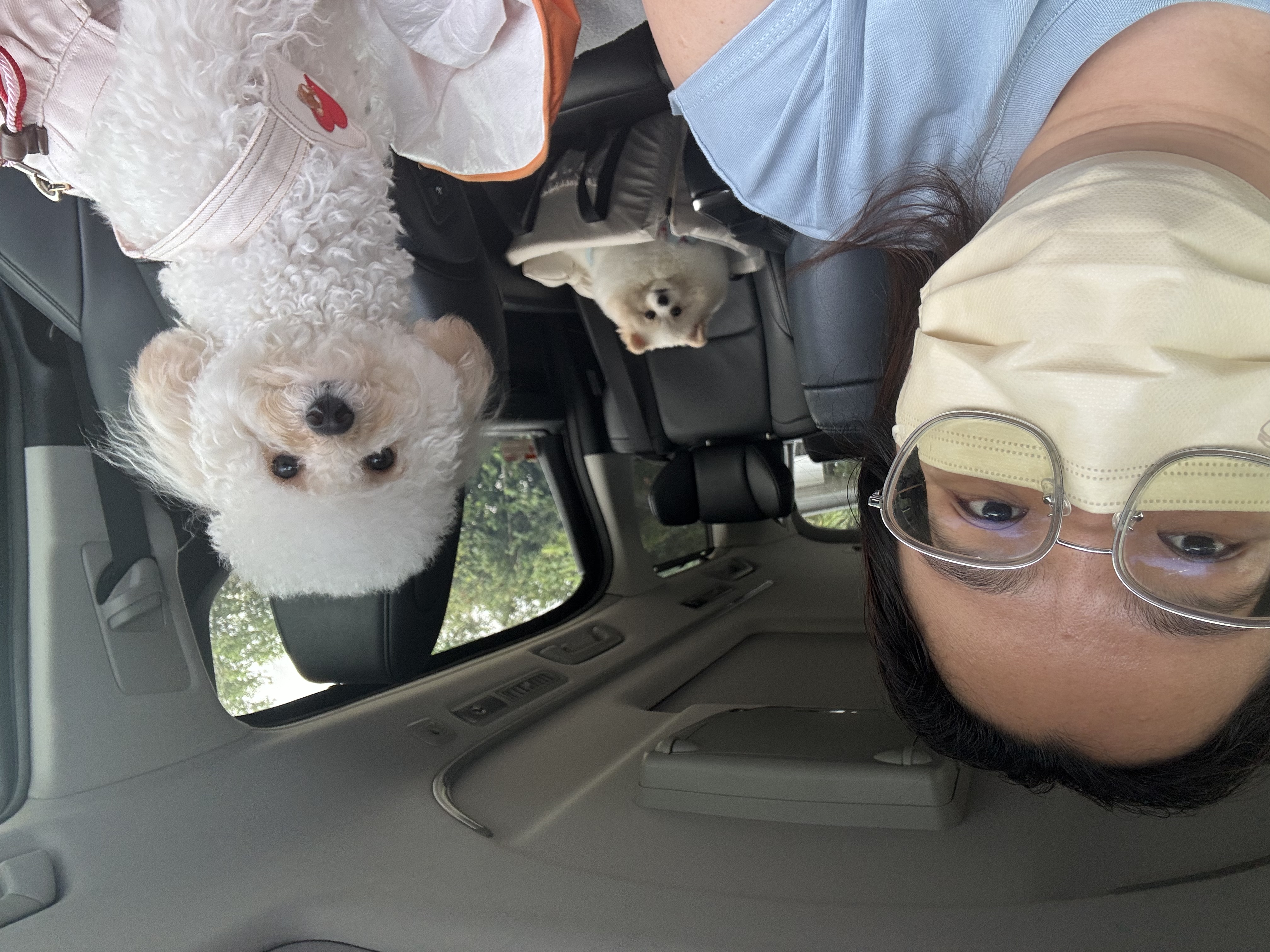 image-3