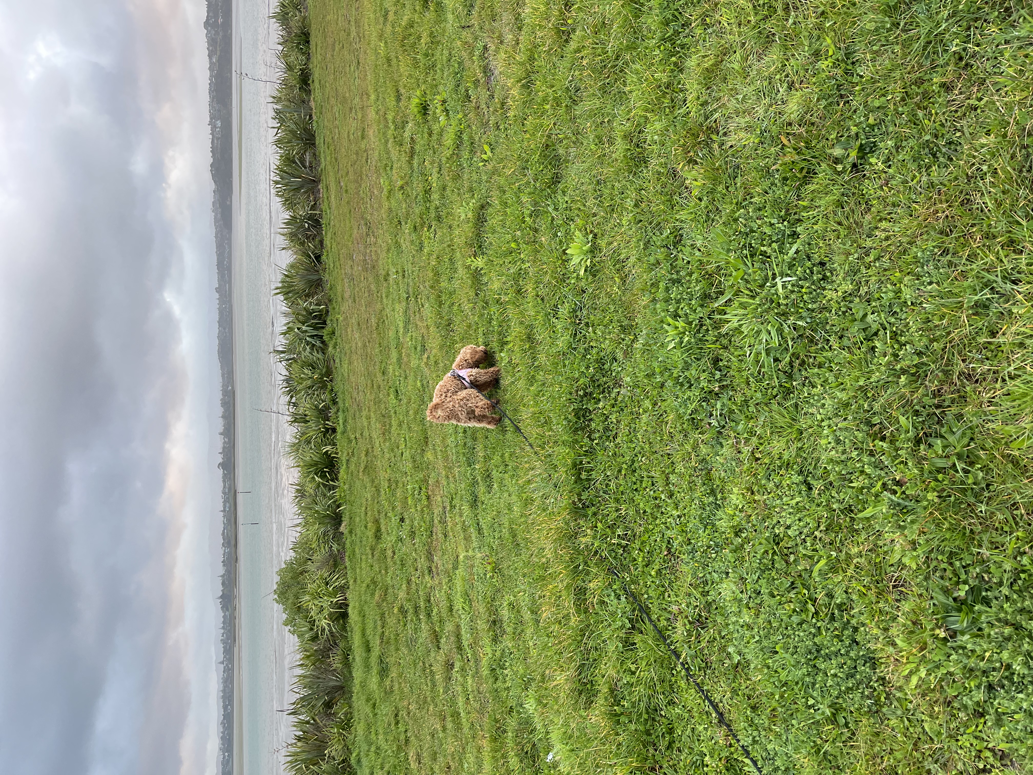 image-5