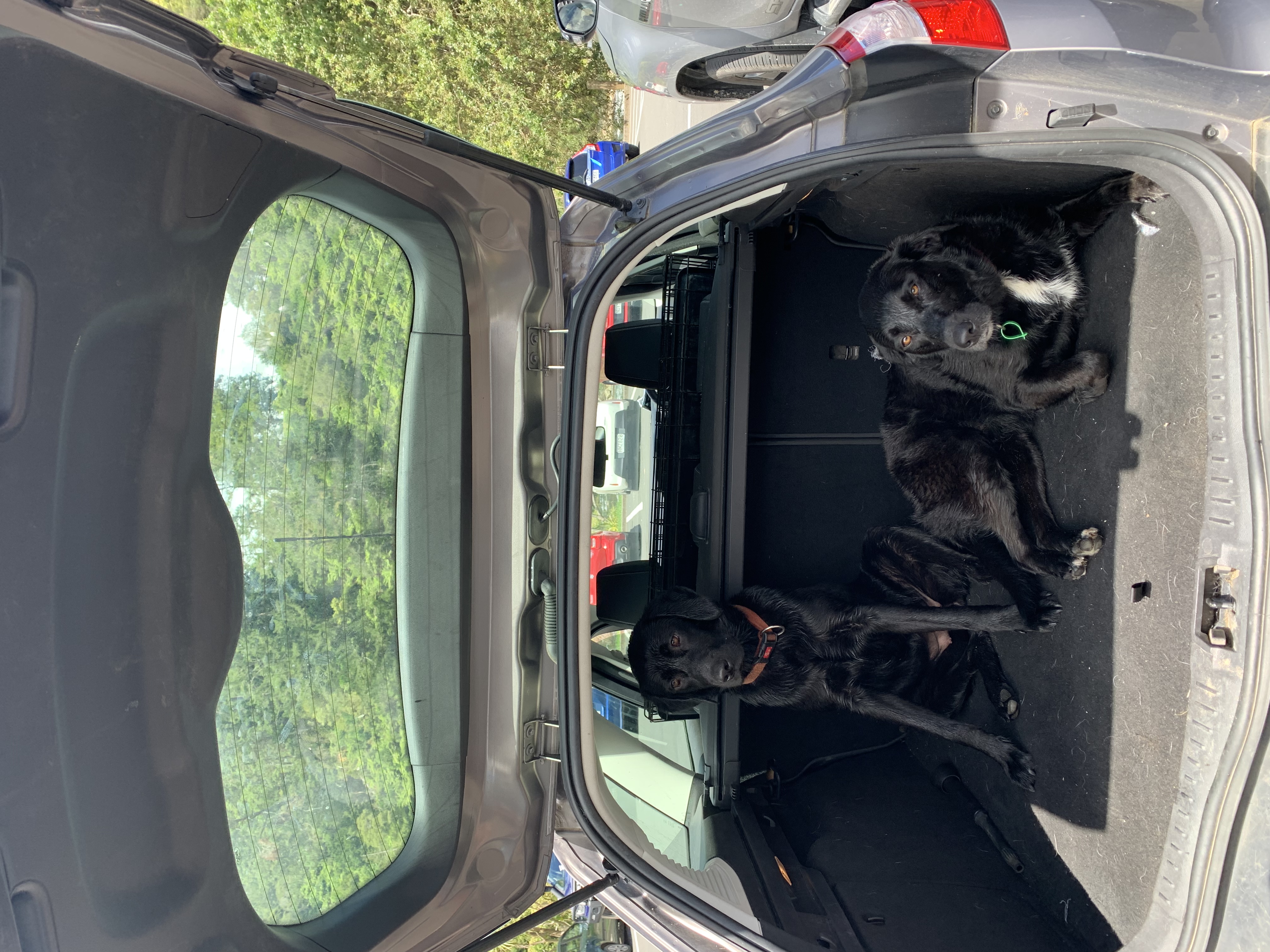 image-7