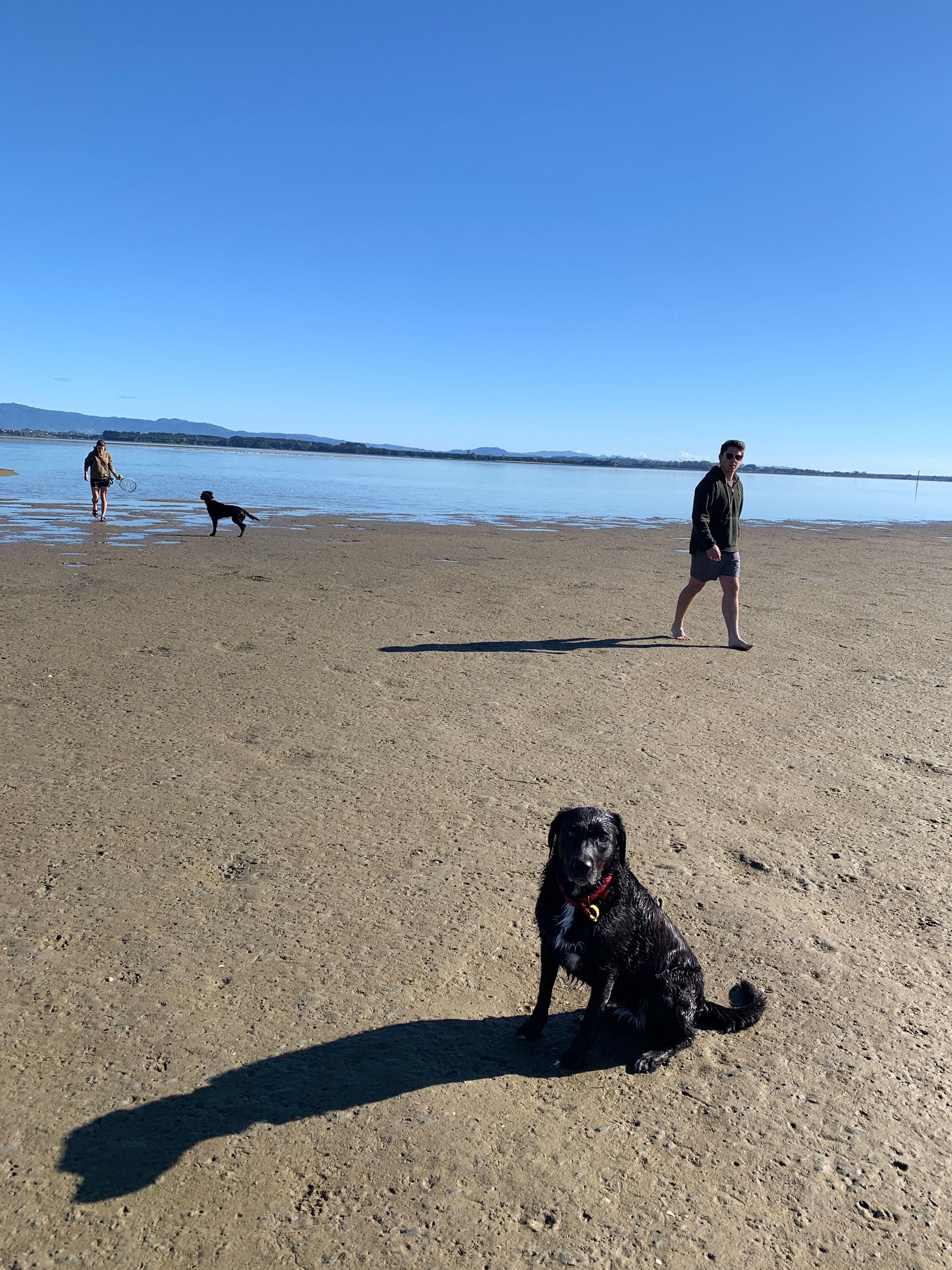 image-5