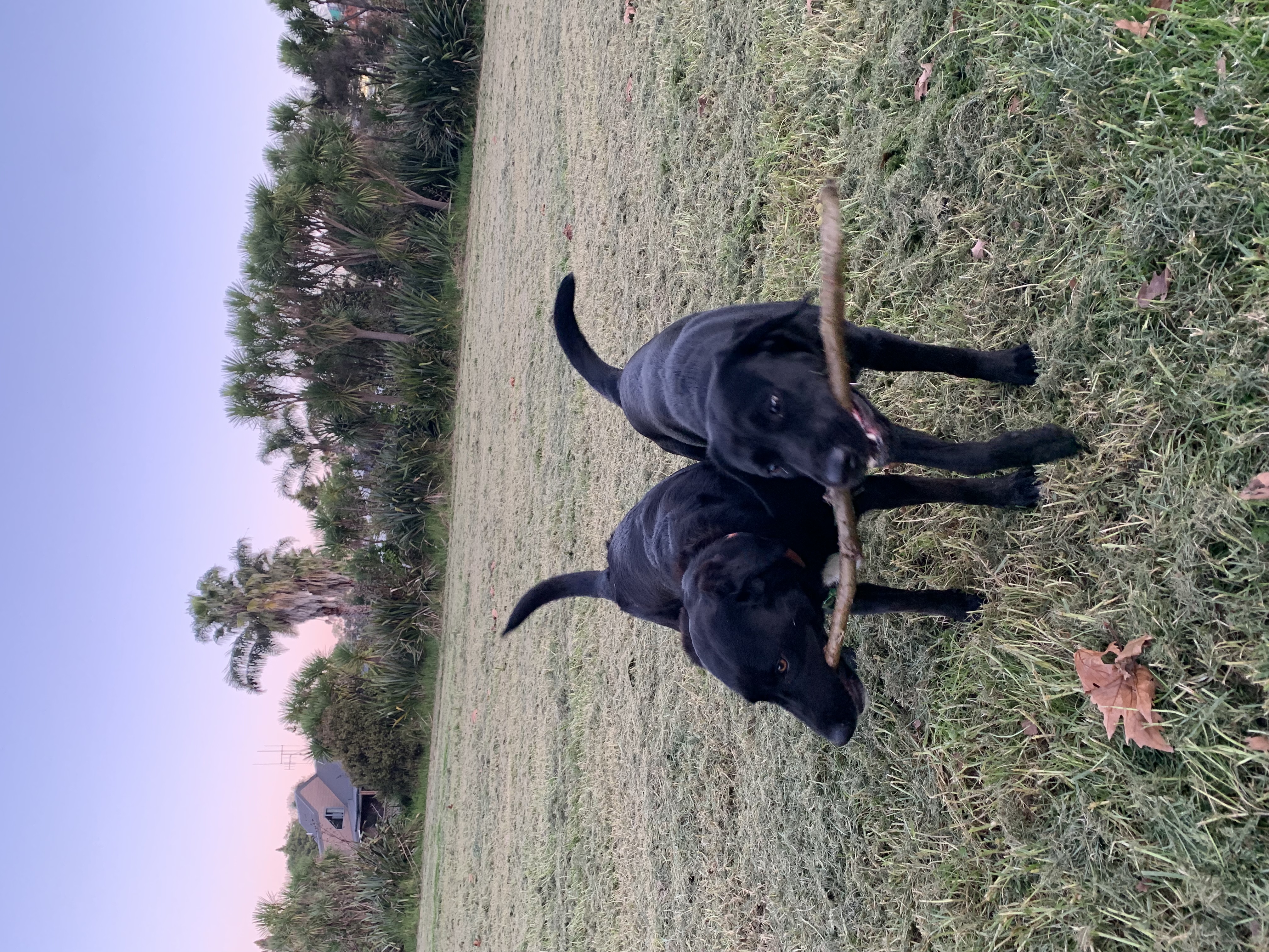 image-8