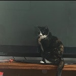Molly