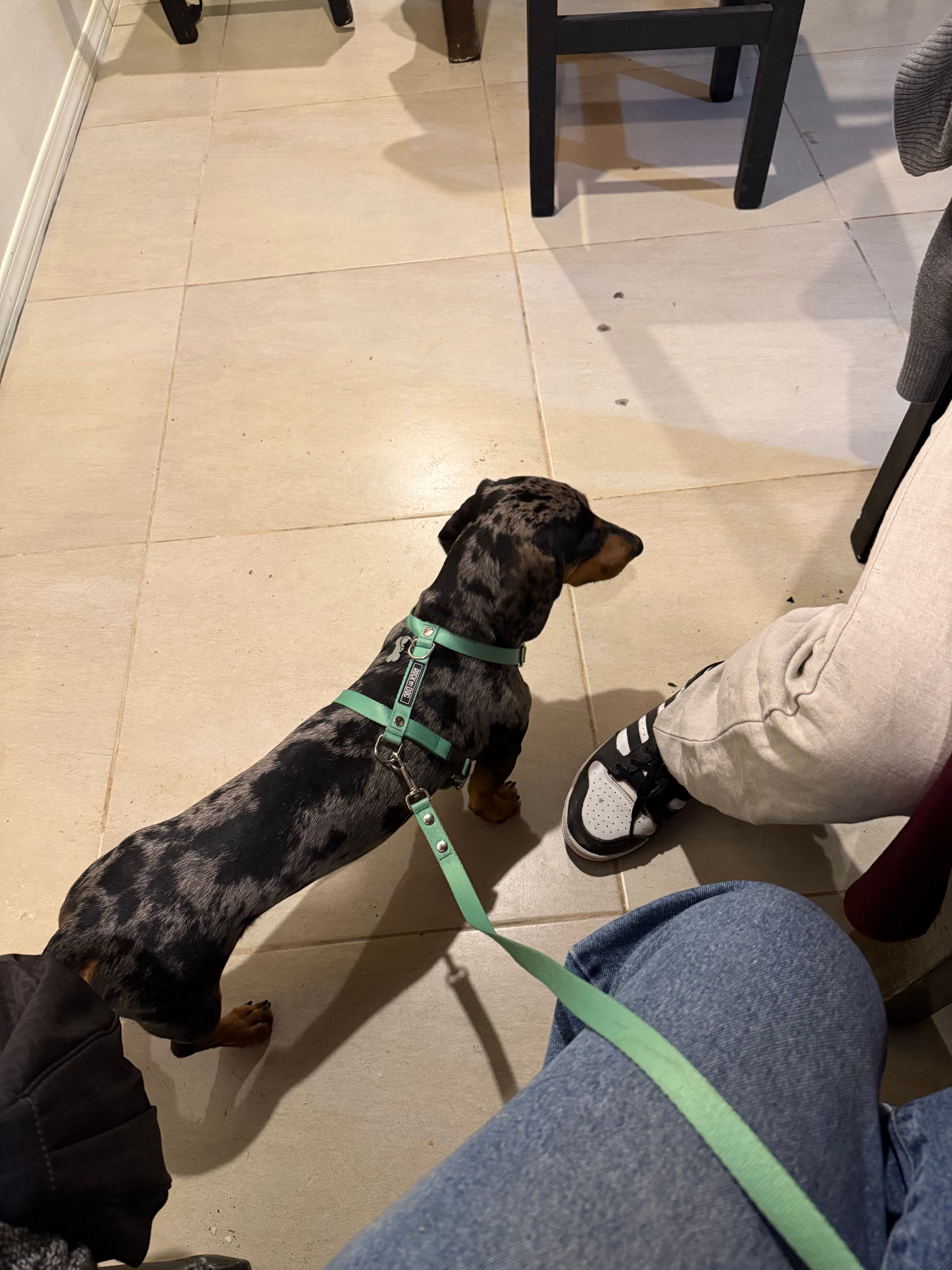 image-22