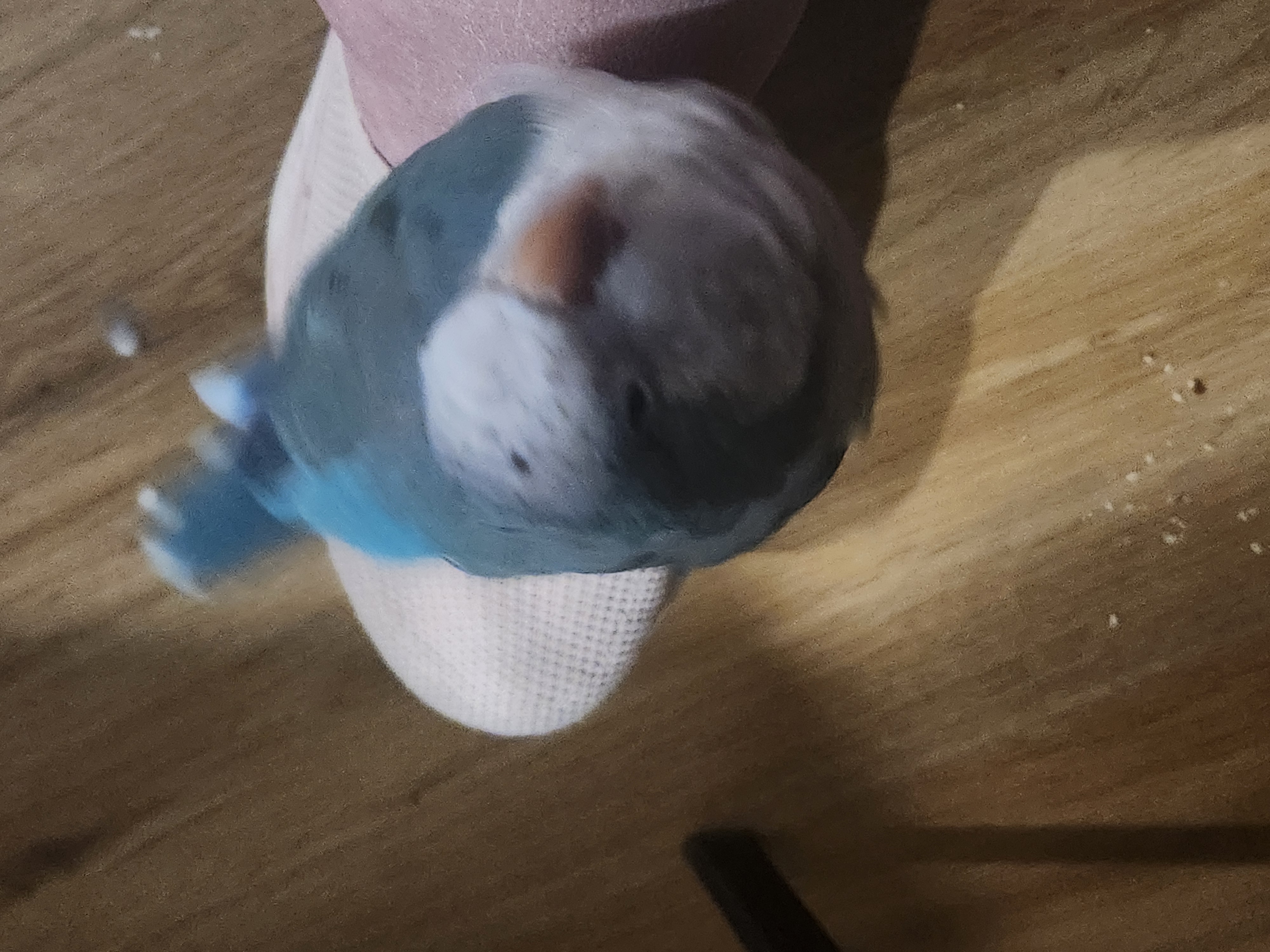 image-6