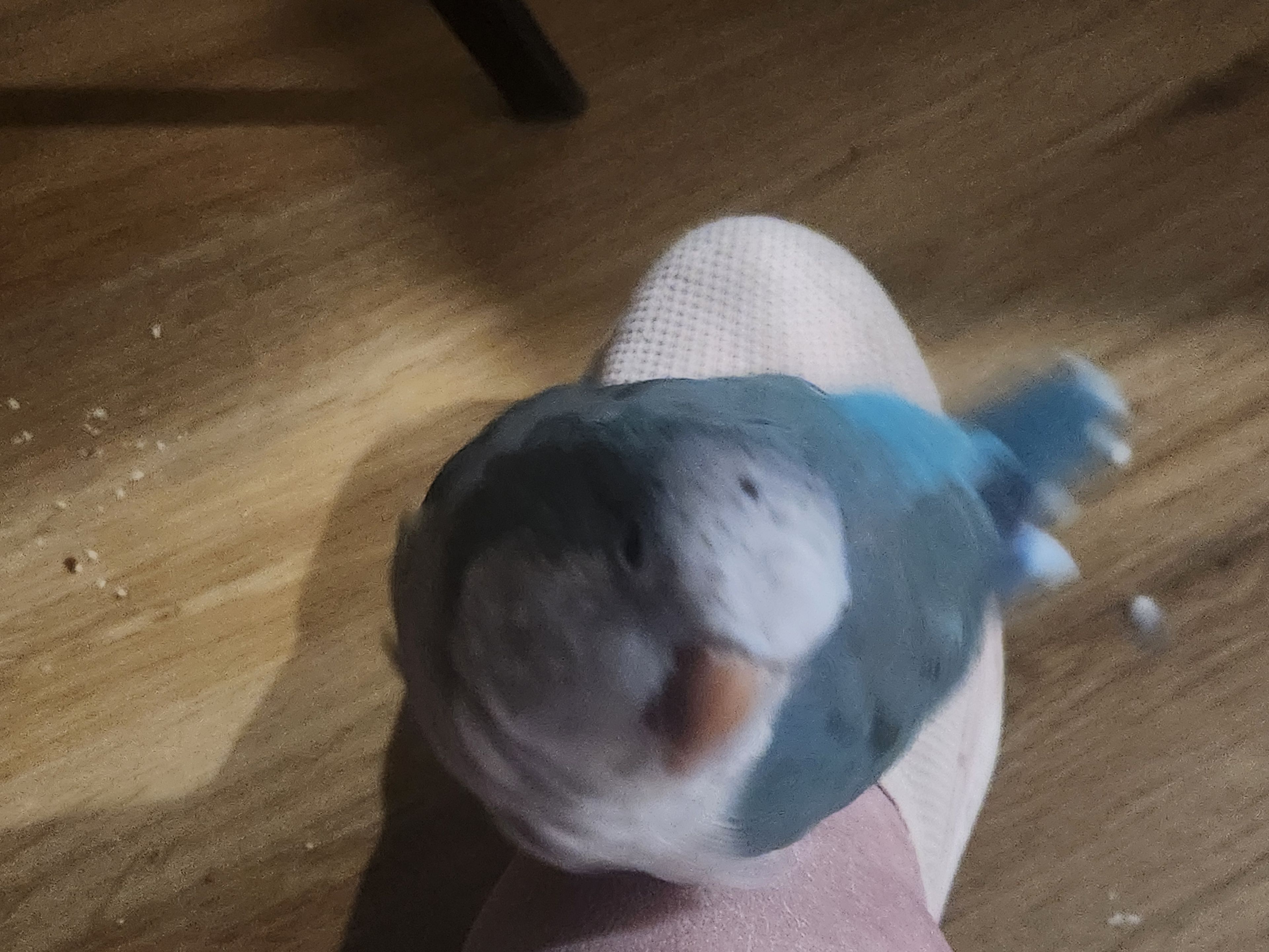 image-6