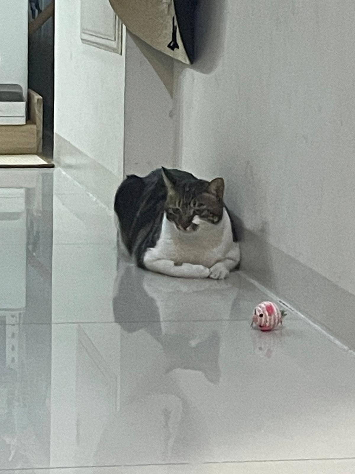 image-6