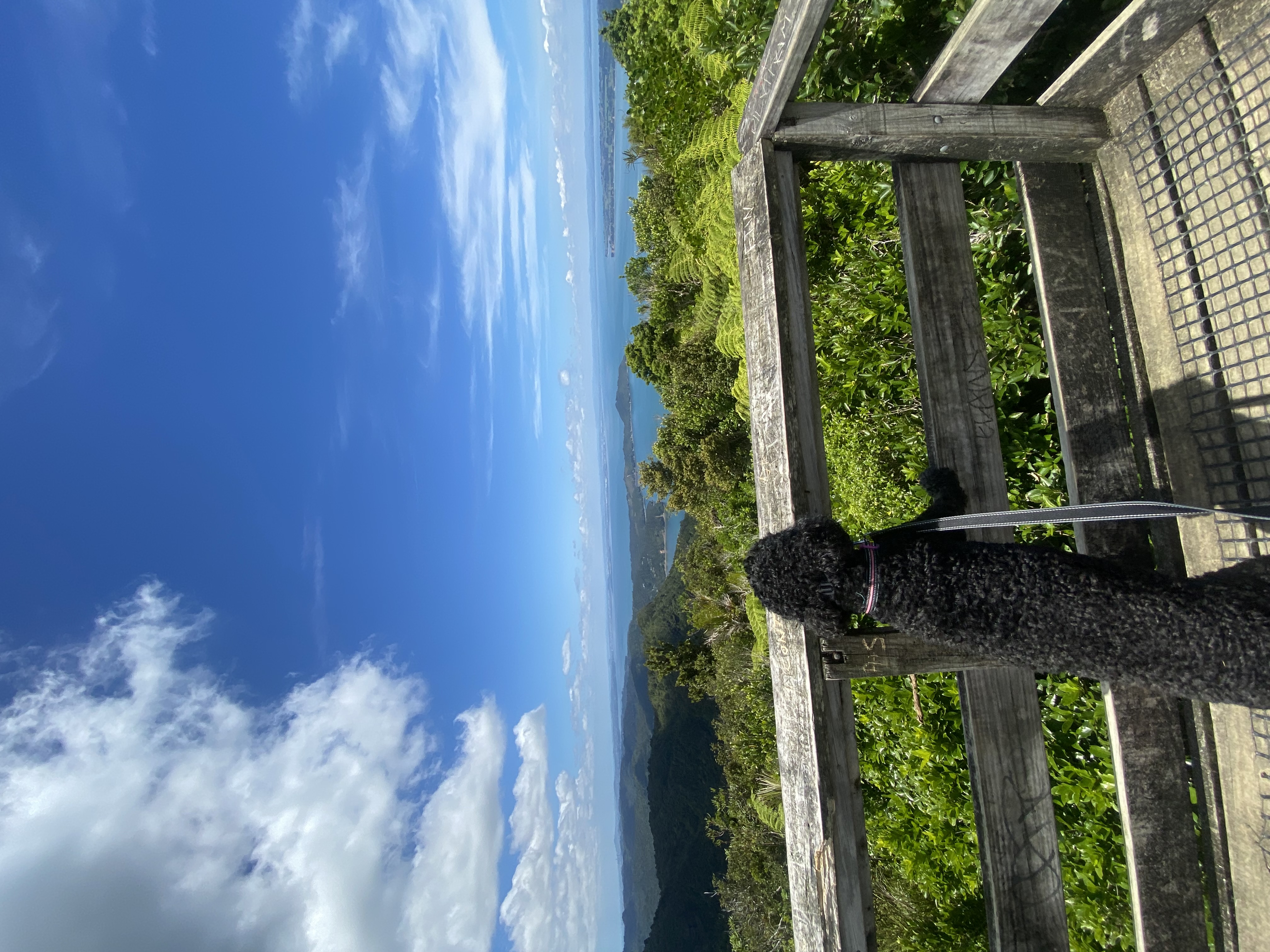 image-6