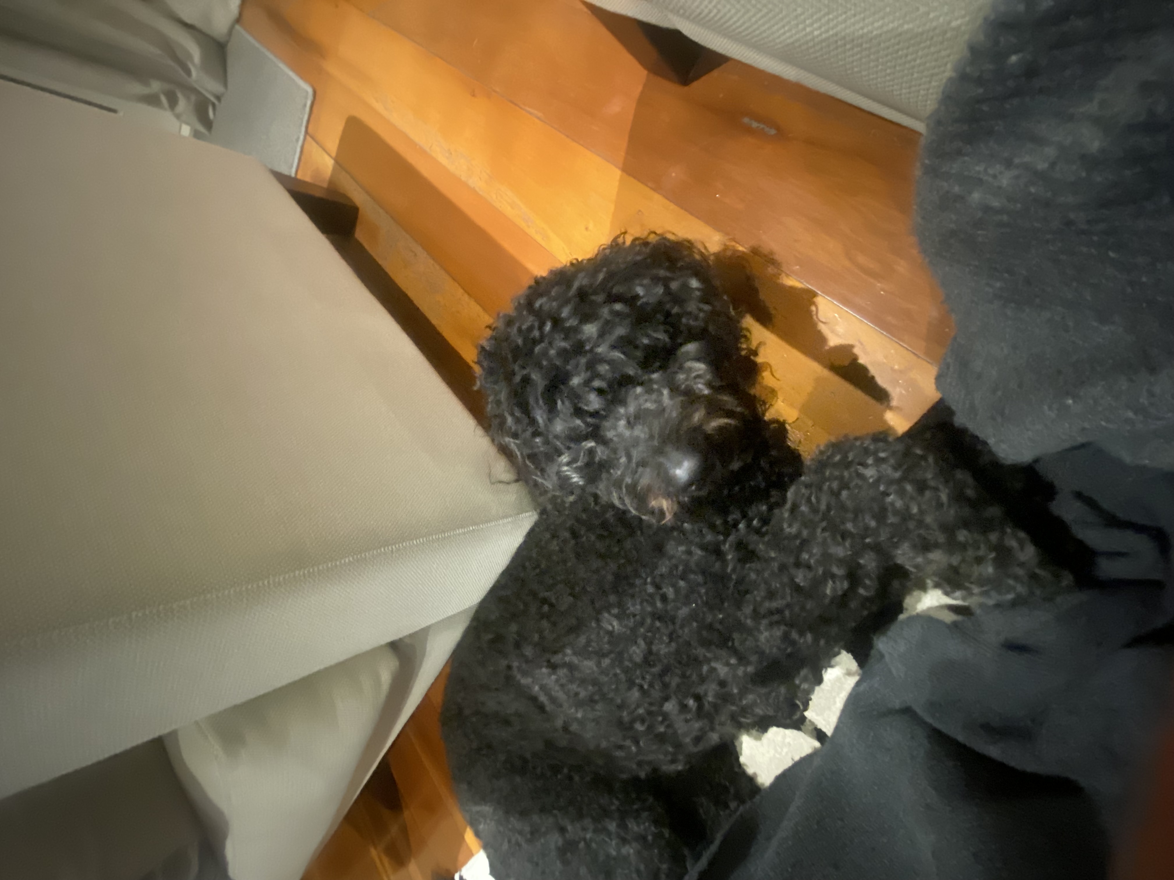 image-3