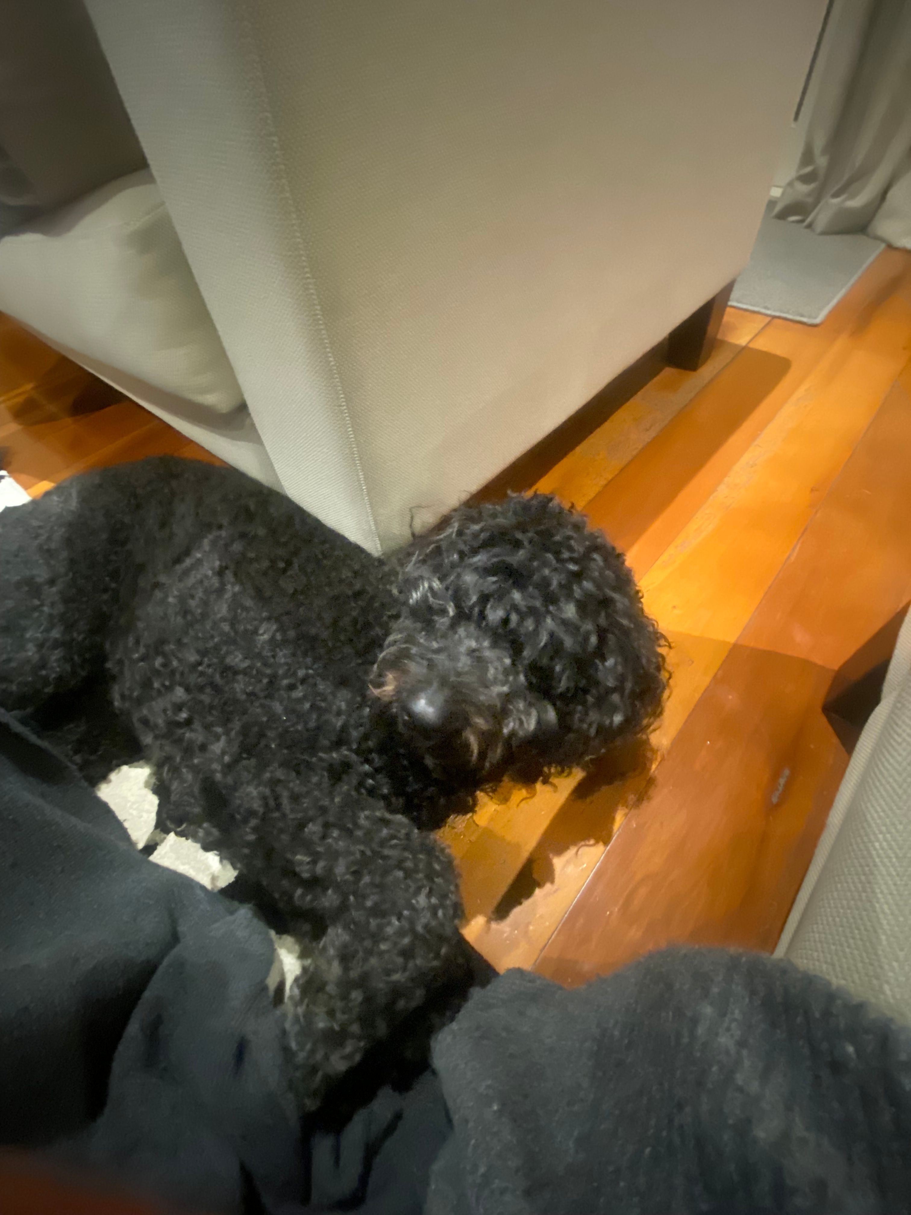 image-3