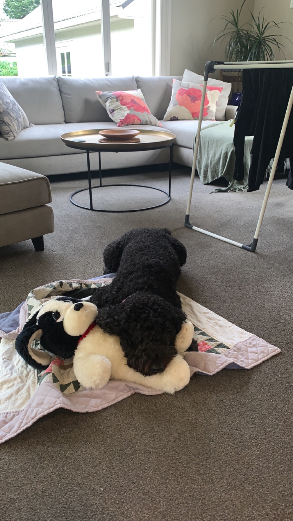 image-9