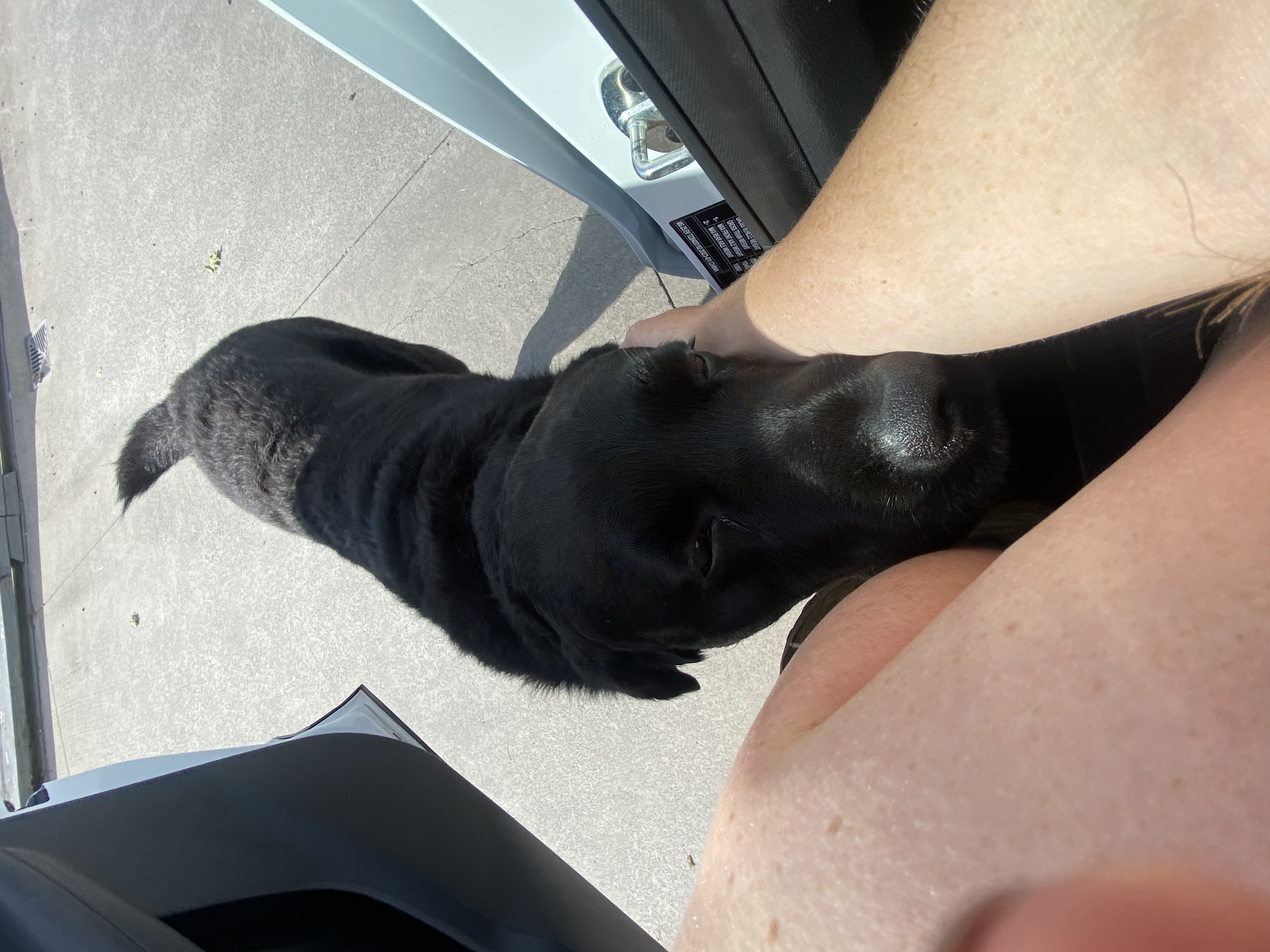 image-7