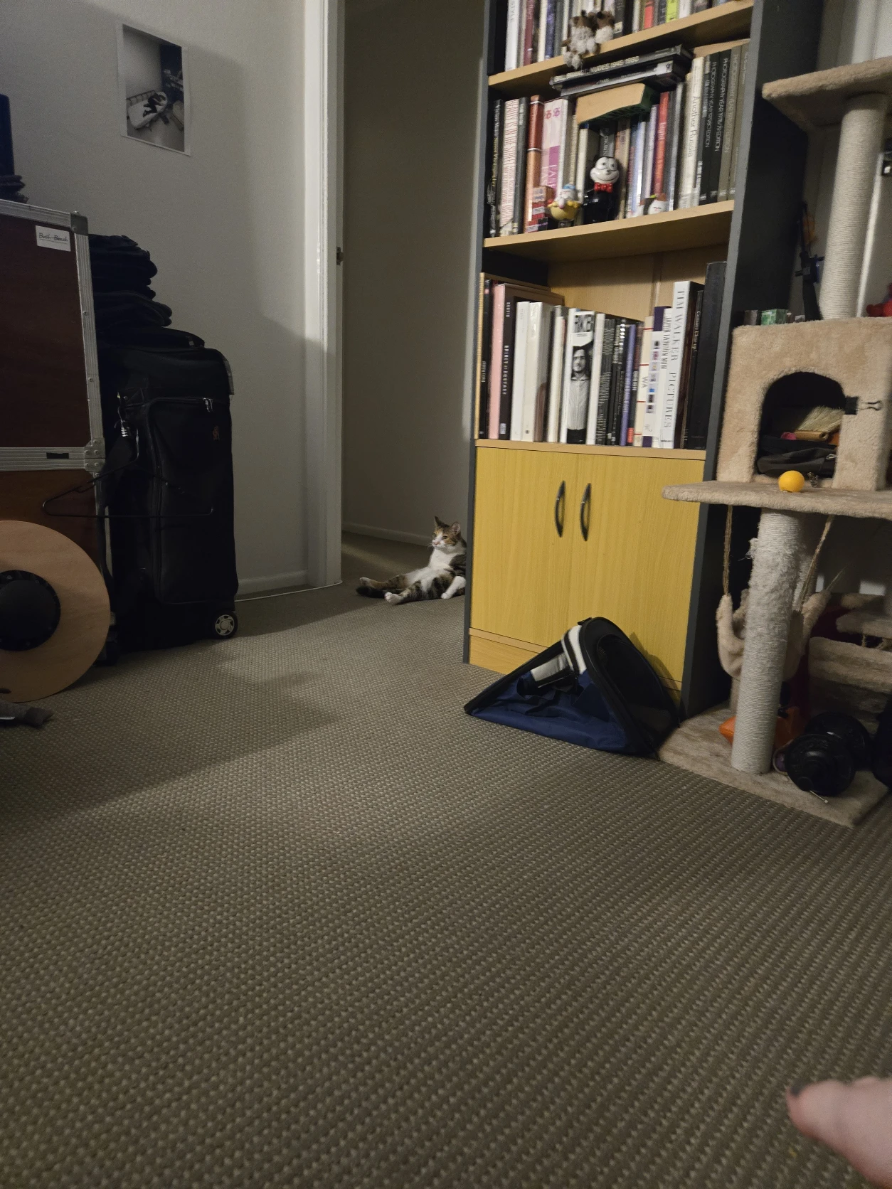 image-10